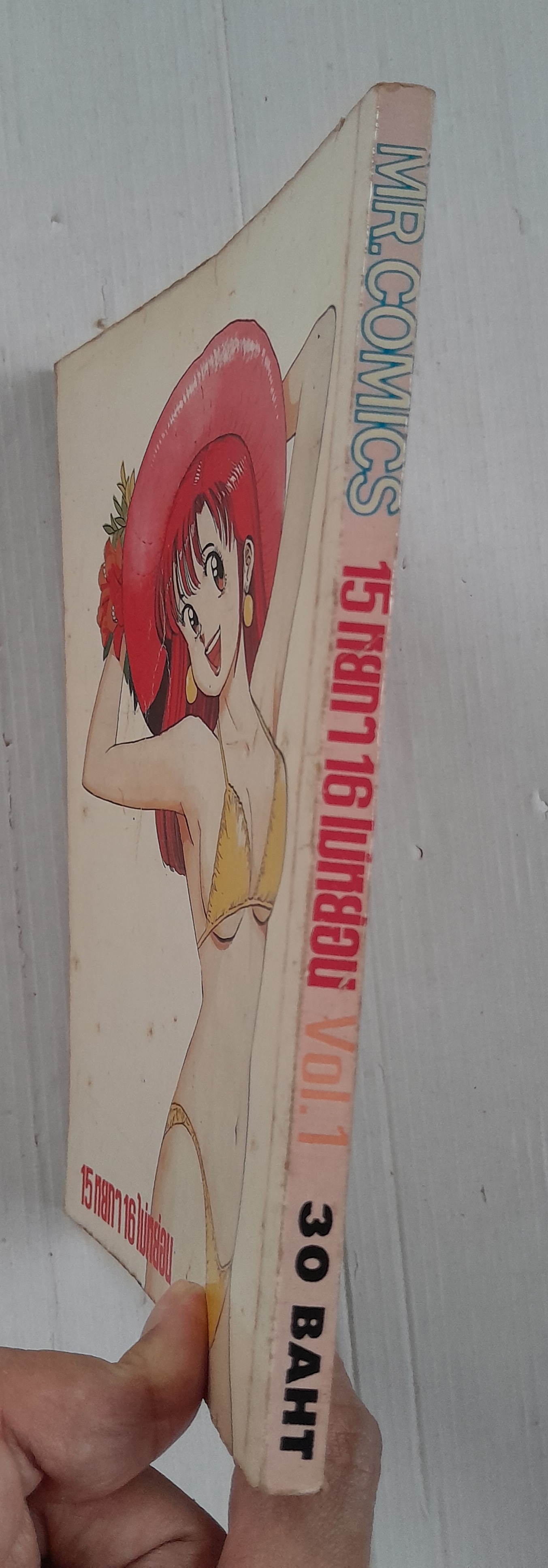 15 หยกๆ 16 ไม่หย่อน เล่ม 1 / Yasuhiro Nakanishi