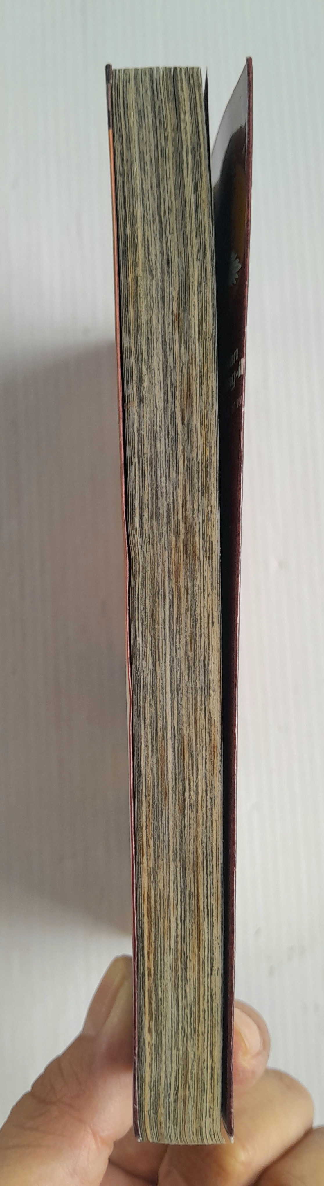 ตุลาการทมิฬ เล่ม 17 (17 เล่มจบ)