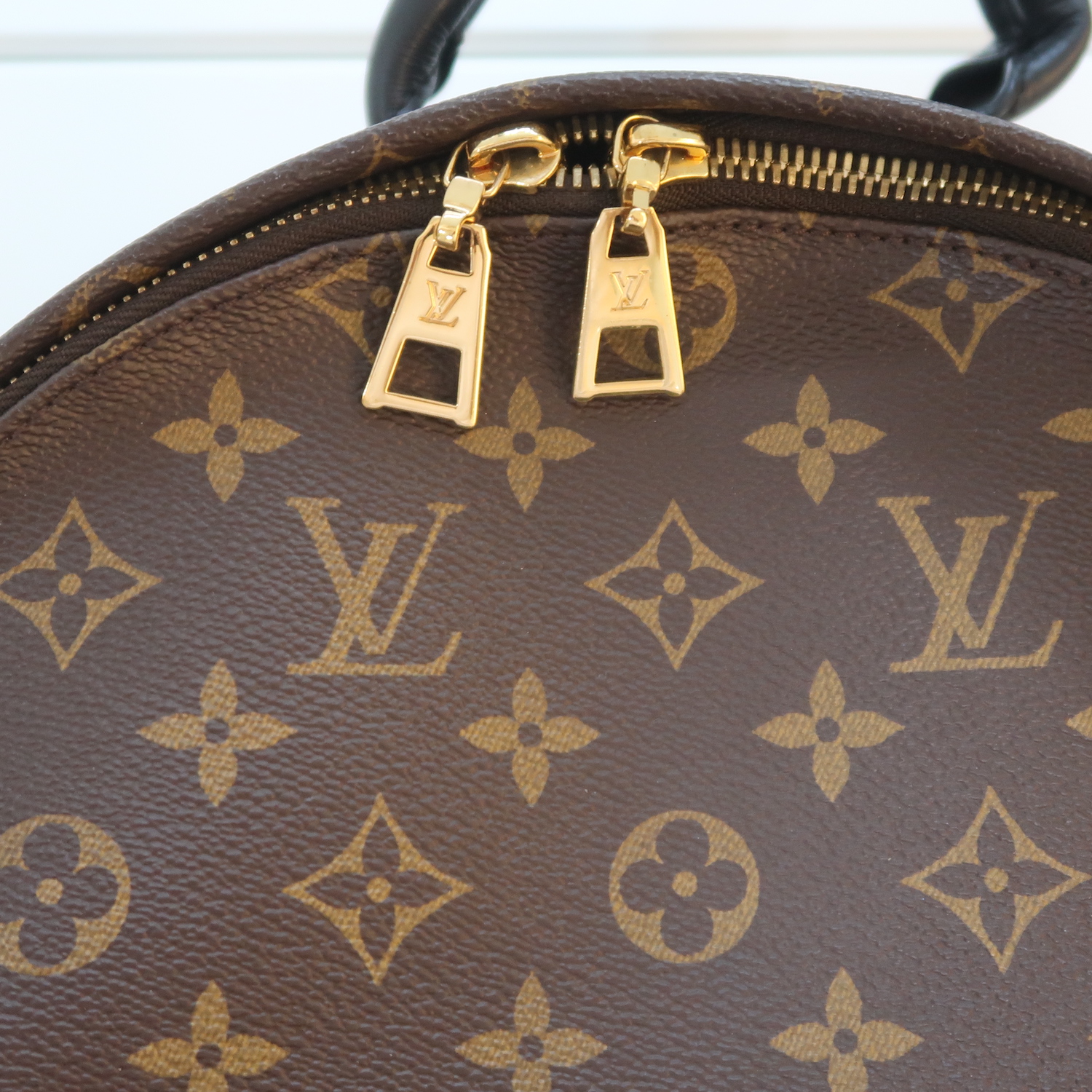 Louis Vuitton Monogram Palm Spring MM