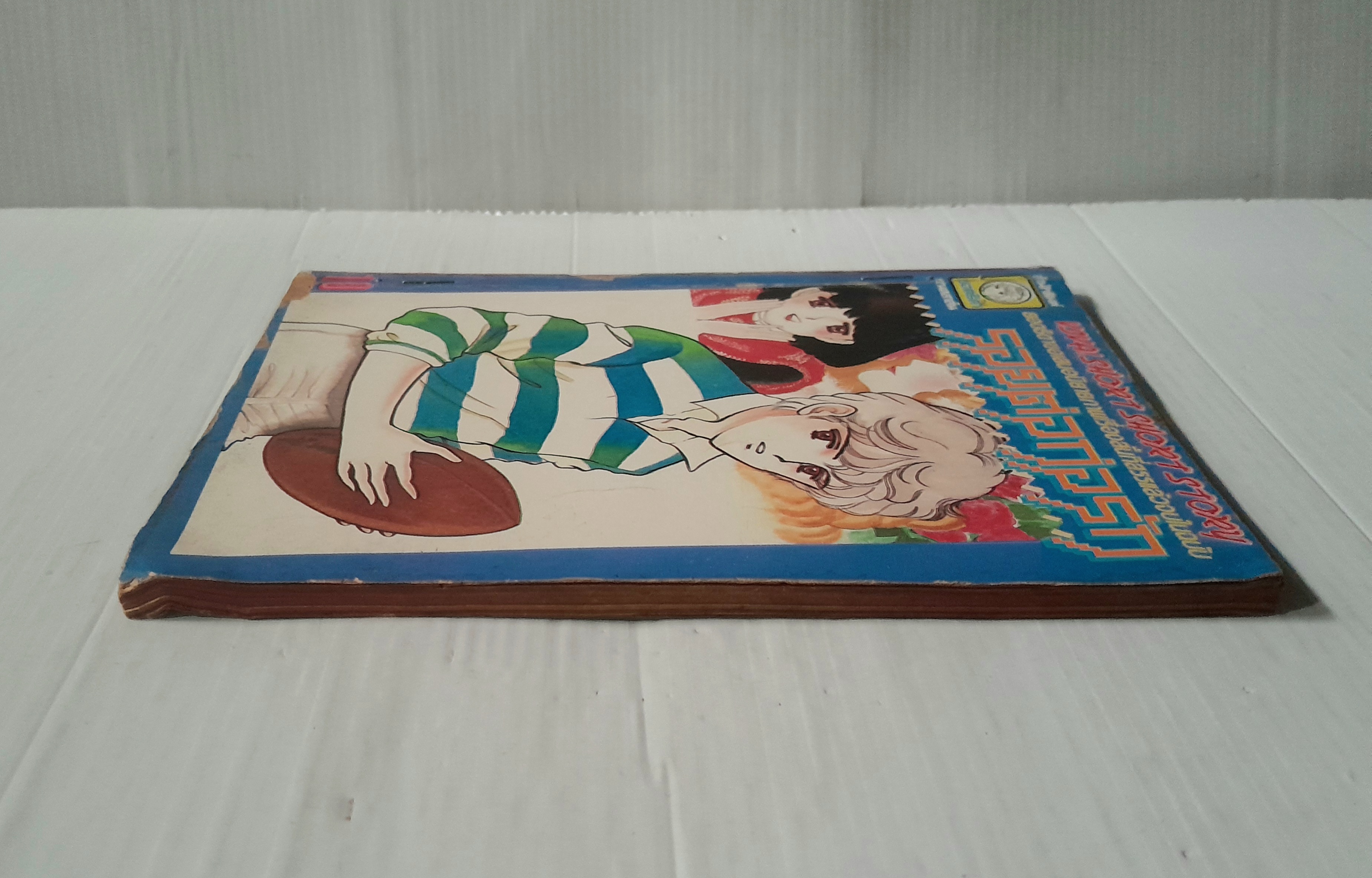 รอยต่อก่อรัก (เล่มเดียวจบ)