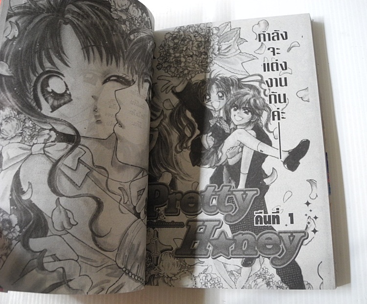 Pretty Honey หัวใจนี้มีแต่เธอ 2 เล่มจบ / Nami Akimoto