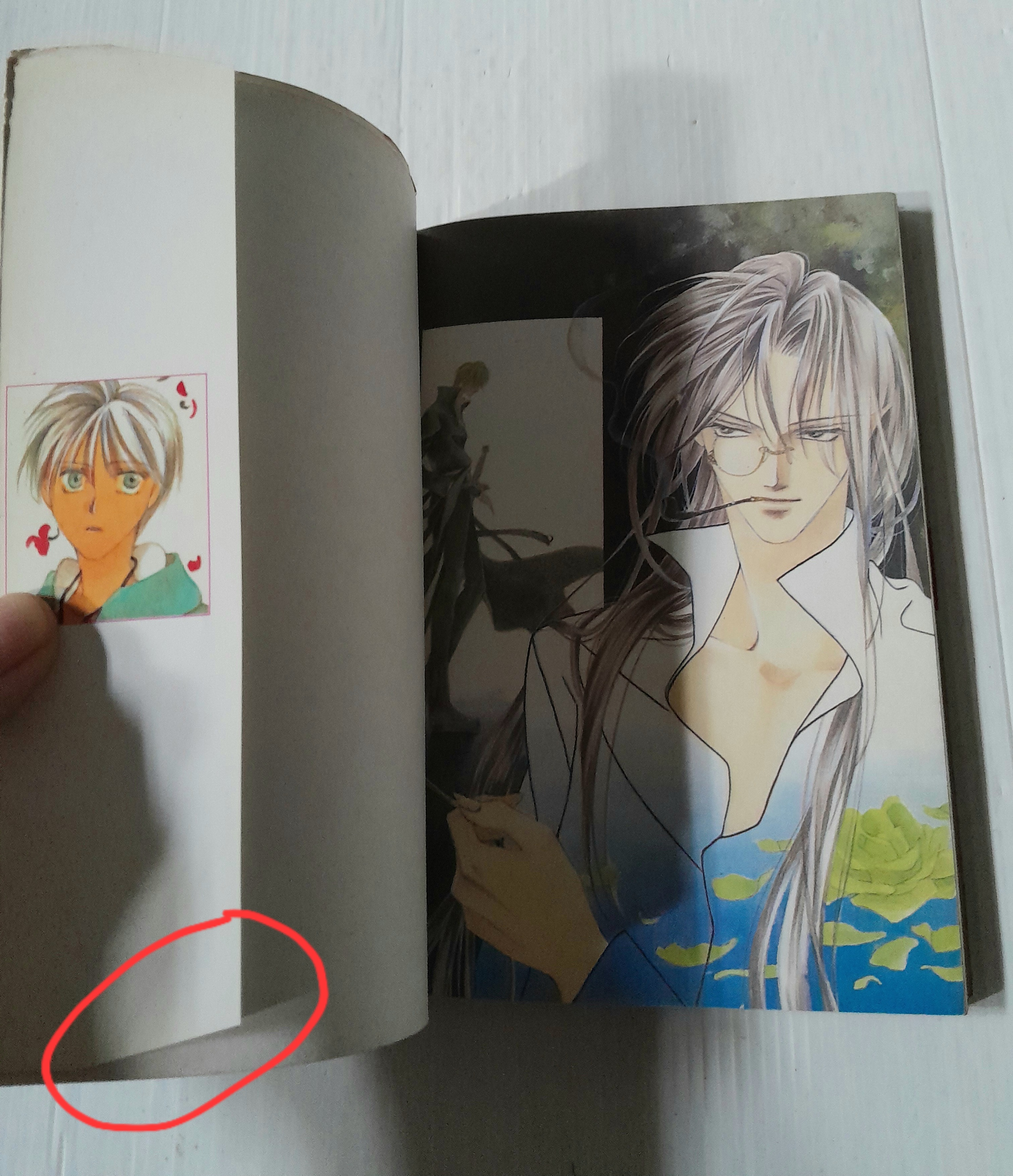 ตำนานภูตน้ำแข็ง เล่ม 11 (เล่มเดียวจบ) / Sugiura Shiho