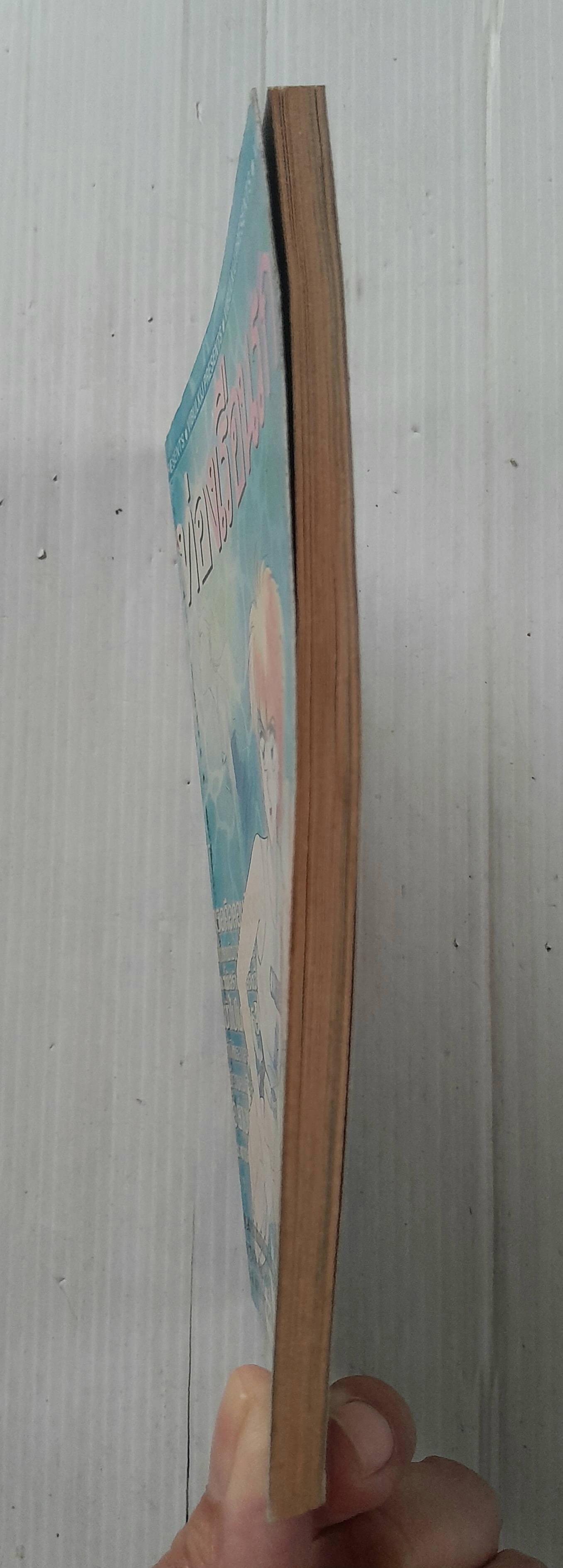 ท่องเรือนรก (เล่มเดียวจบ) / Shibata Masahiro