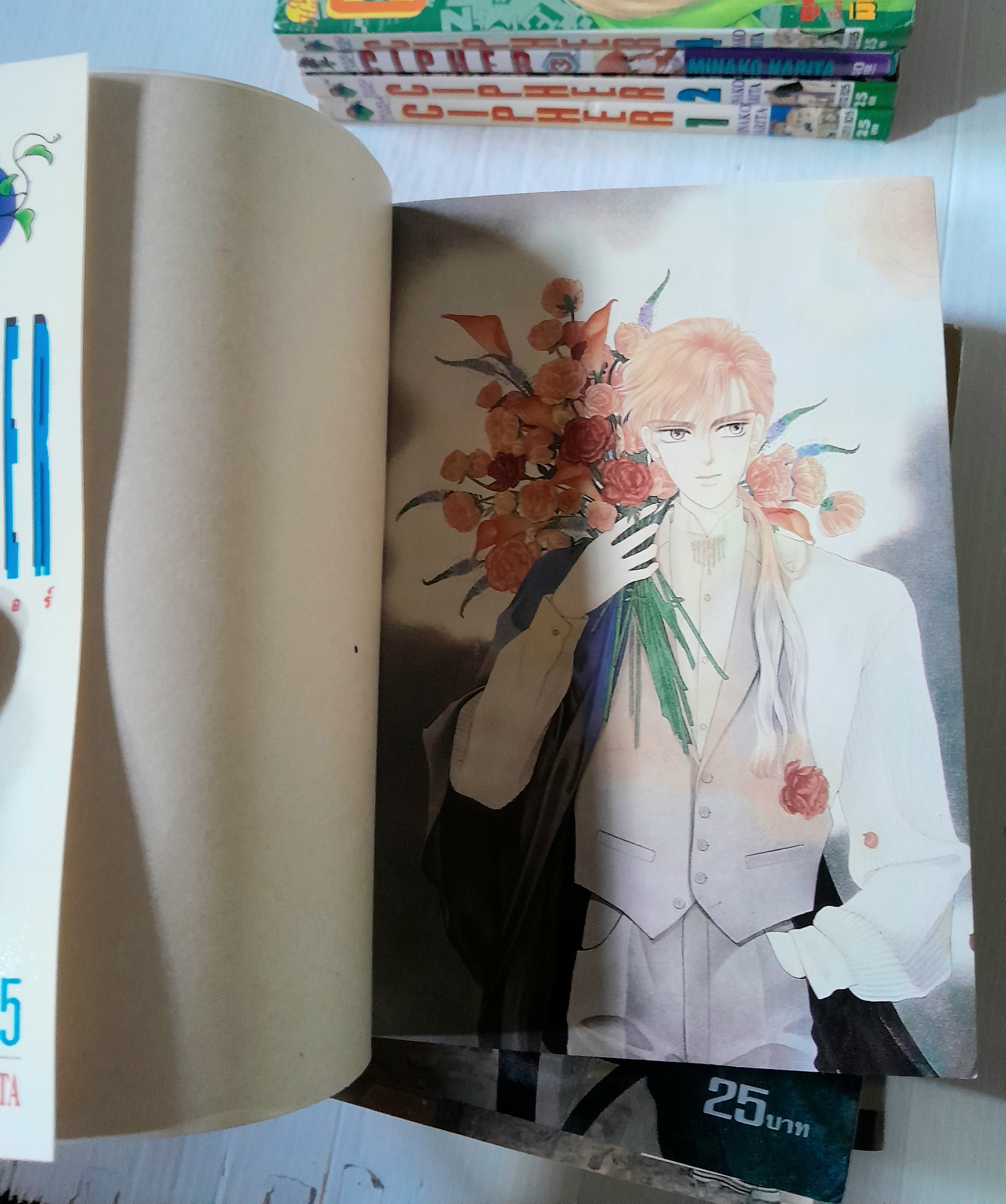 Cipher 12 เล่มจบ / มินาโกะ นาริตะ