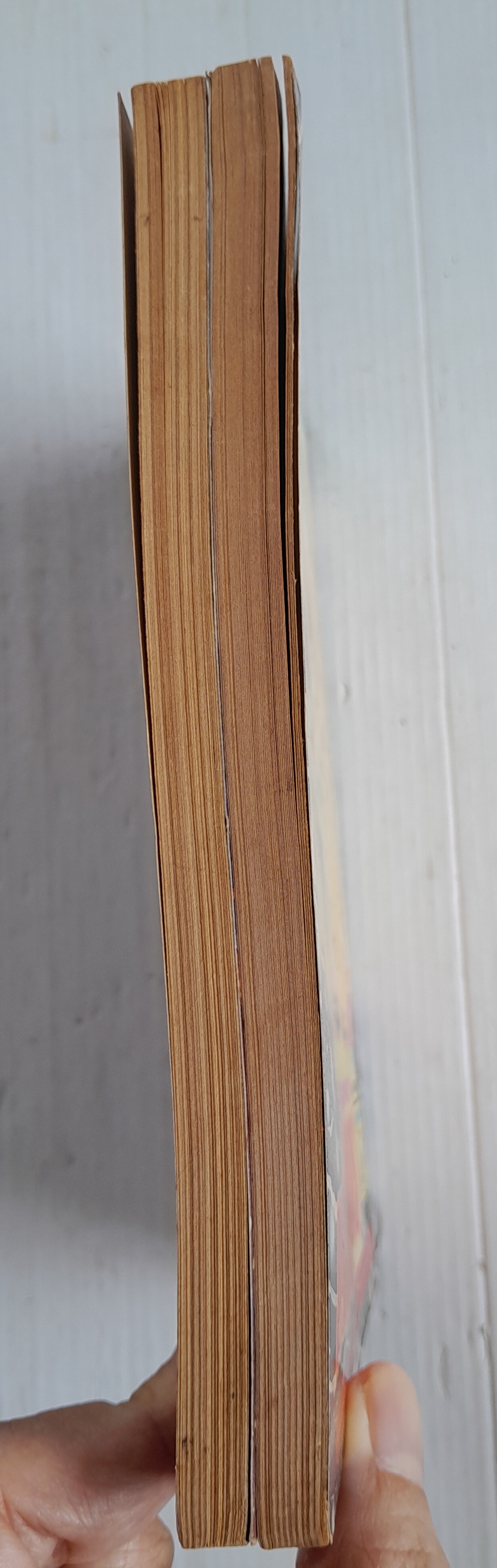 รัสเชี่ยน เอ็กซ์เพรส 2 เล่มจบ / คาวาโสอุ มาสุมิ