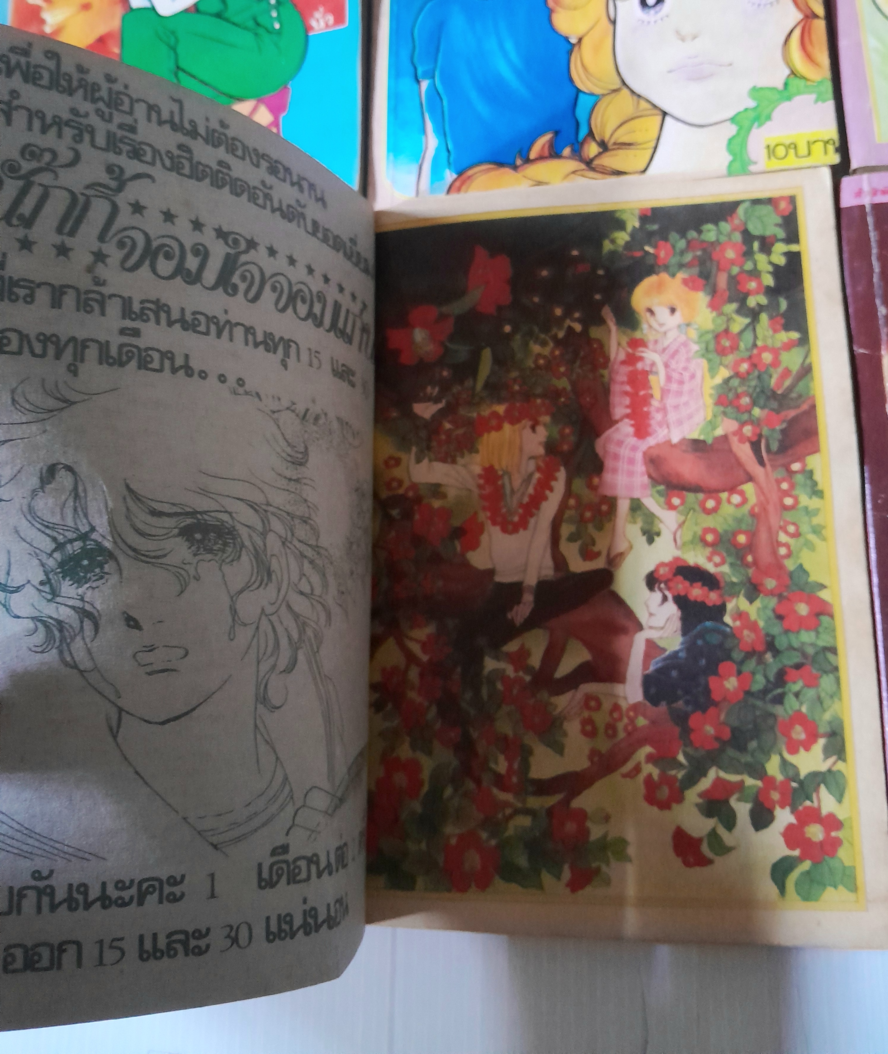 ตากล้องที่รัก 9 เล่มจบ / ชิบาตะ อายูโกะ