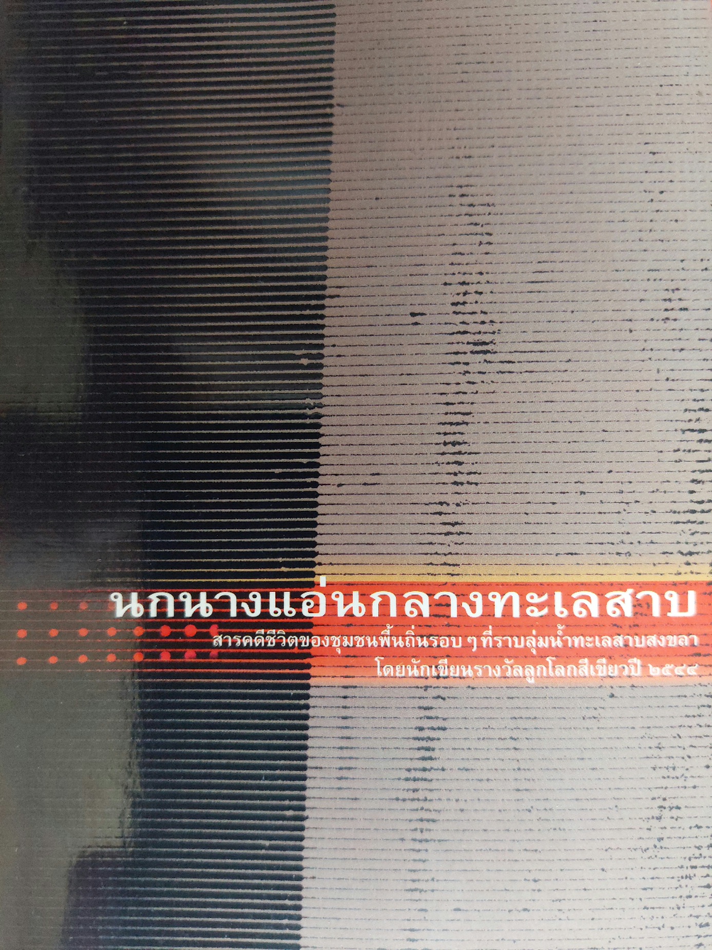 นกนางแอ่นกลางทะเลสาบ / หญ้าน้ำ ทุ่งขุนหลวง