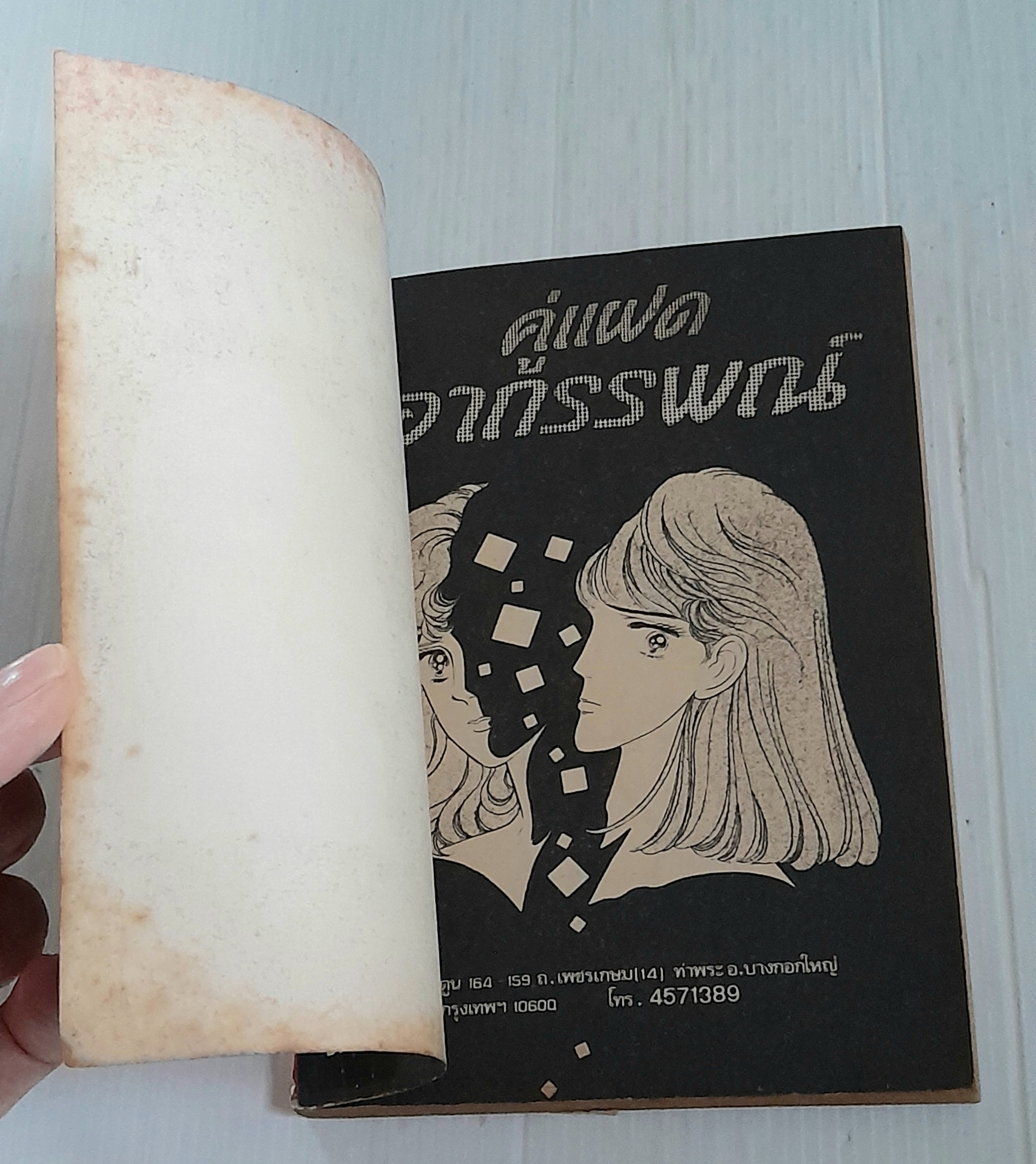 คู่แฝดอาถรรพณ์ (เล่มเดียวจบ) / Kikukawa Akiko