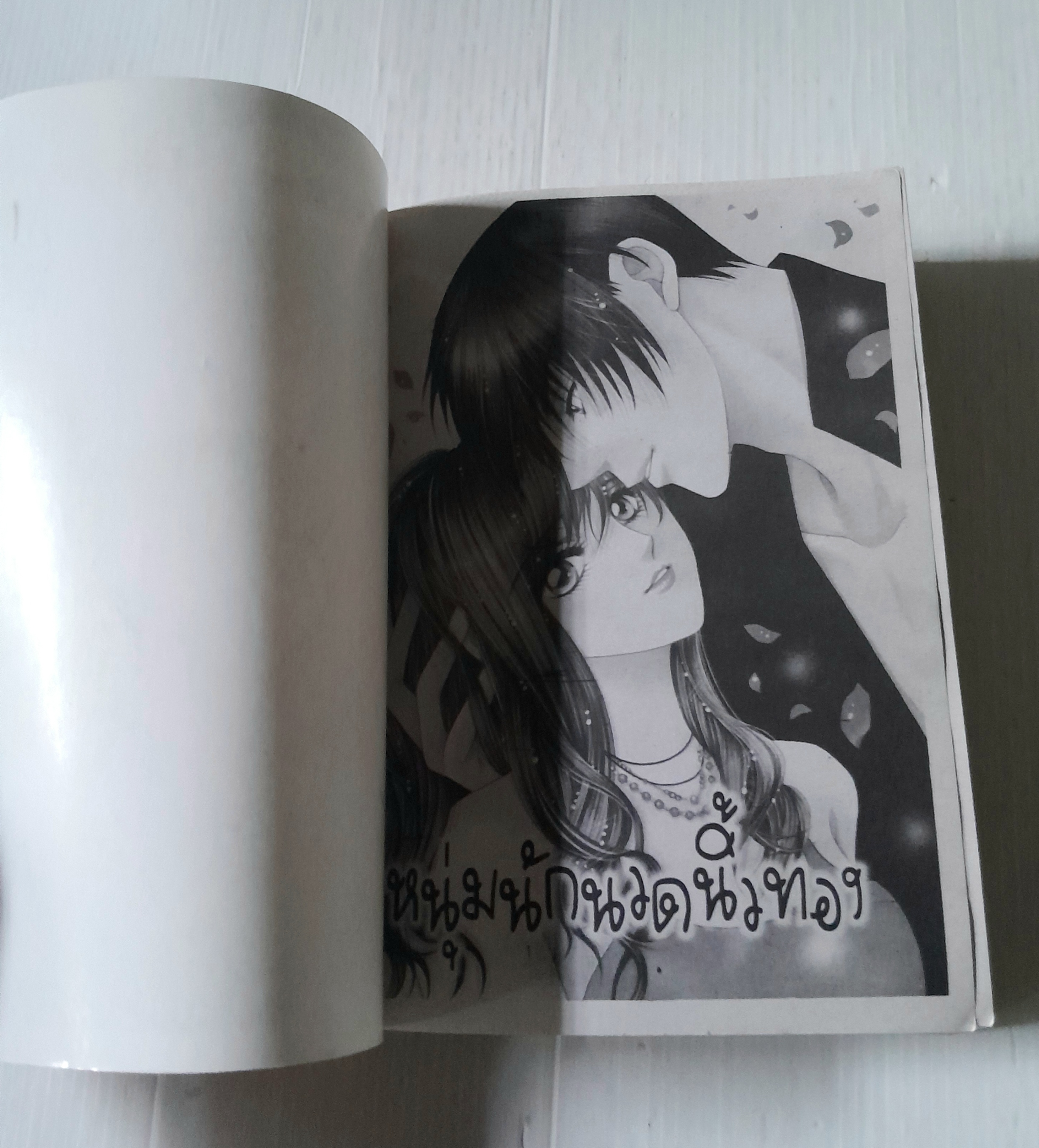 หนุ่มนักวาดนิ้วทอง (เล่มเดียวจบ)