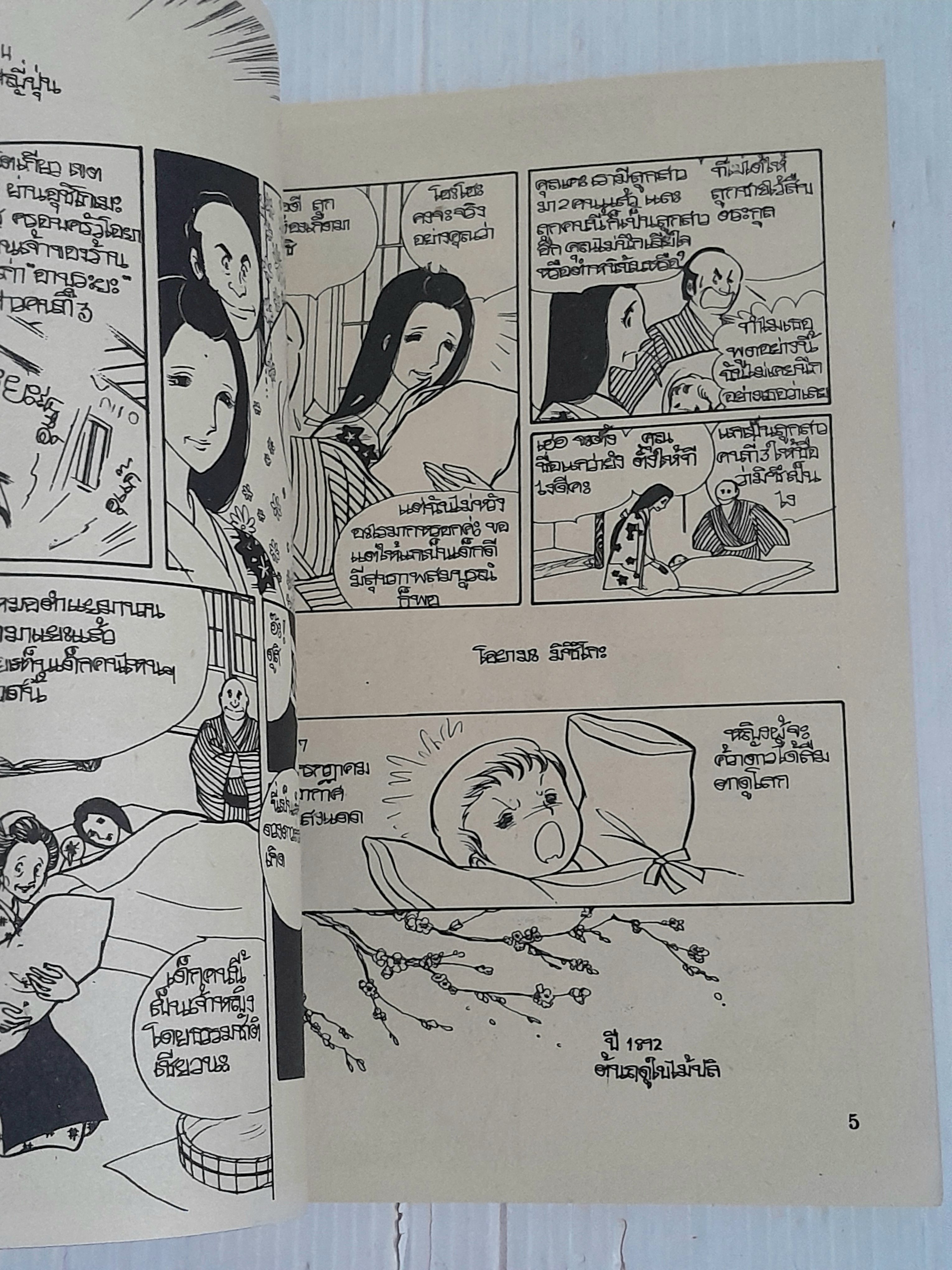 เลดี้มิซึโกะ (เล่มเดียวจบ) / Yamato Waki