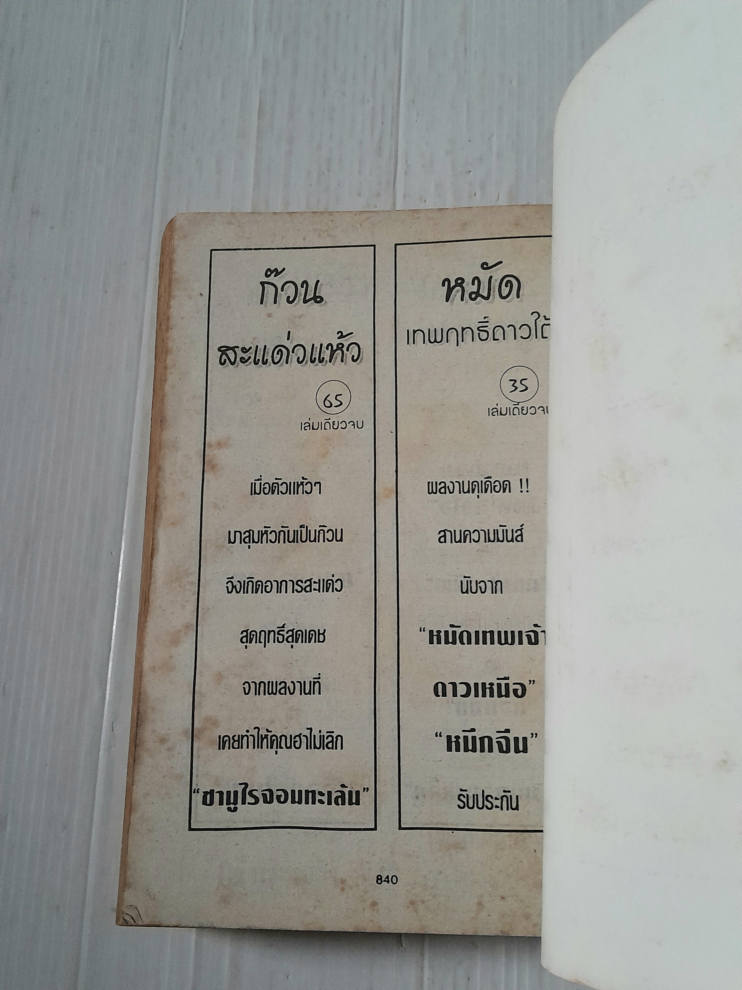 เทพคร่าวิญญาณ ตอนฝ่าแดนมิคสัญญี (เล่มเดียวจบ)