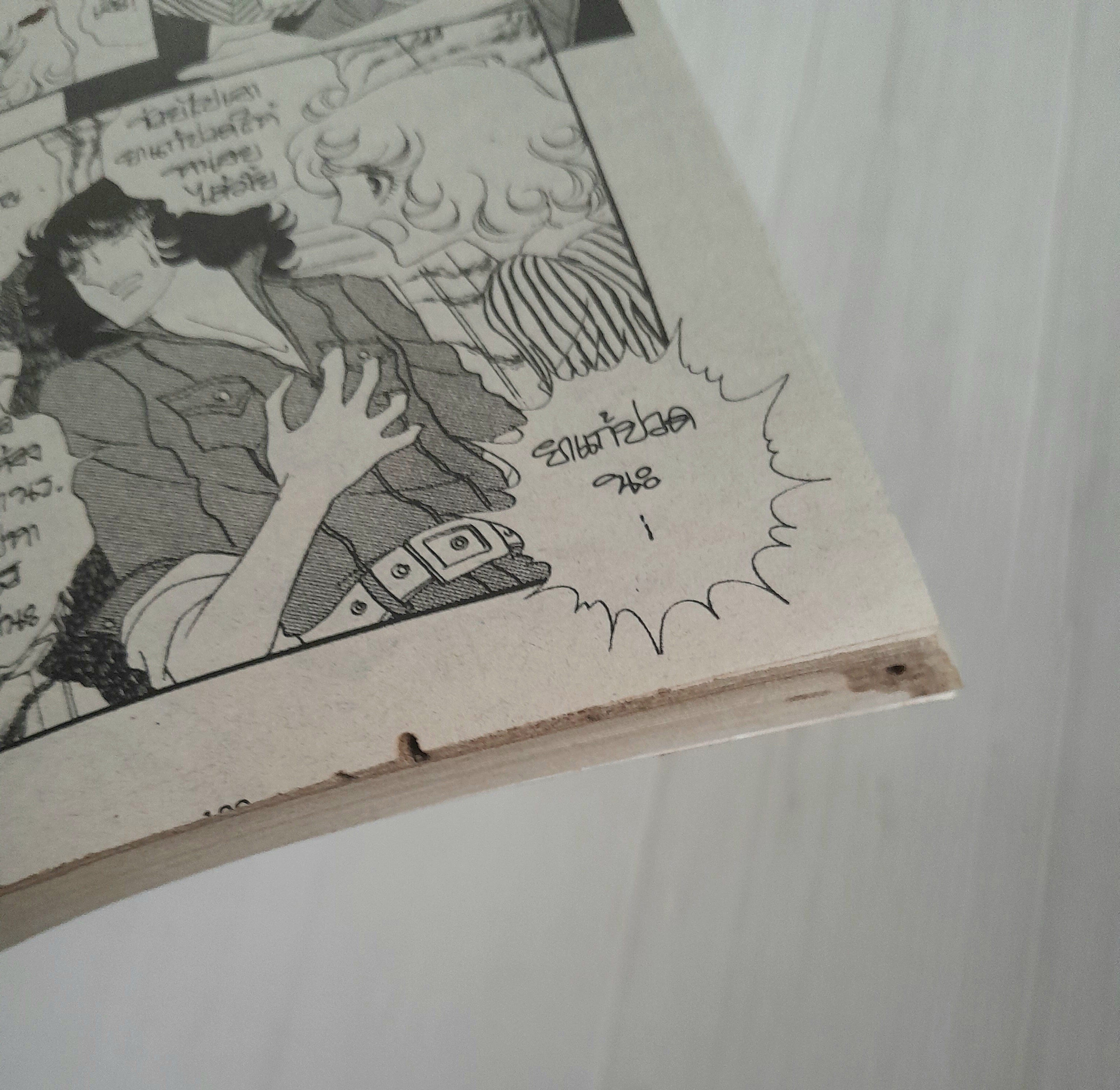 เทพบุตรสุดที่รัก (เล่มเดียวจบ) / ริโยโกะ อิเคดะ