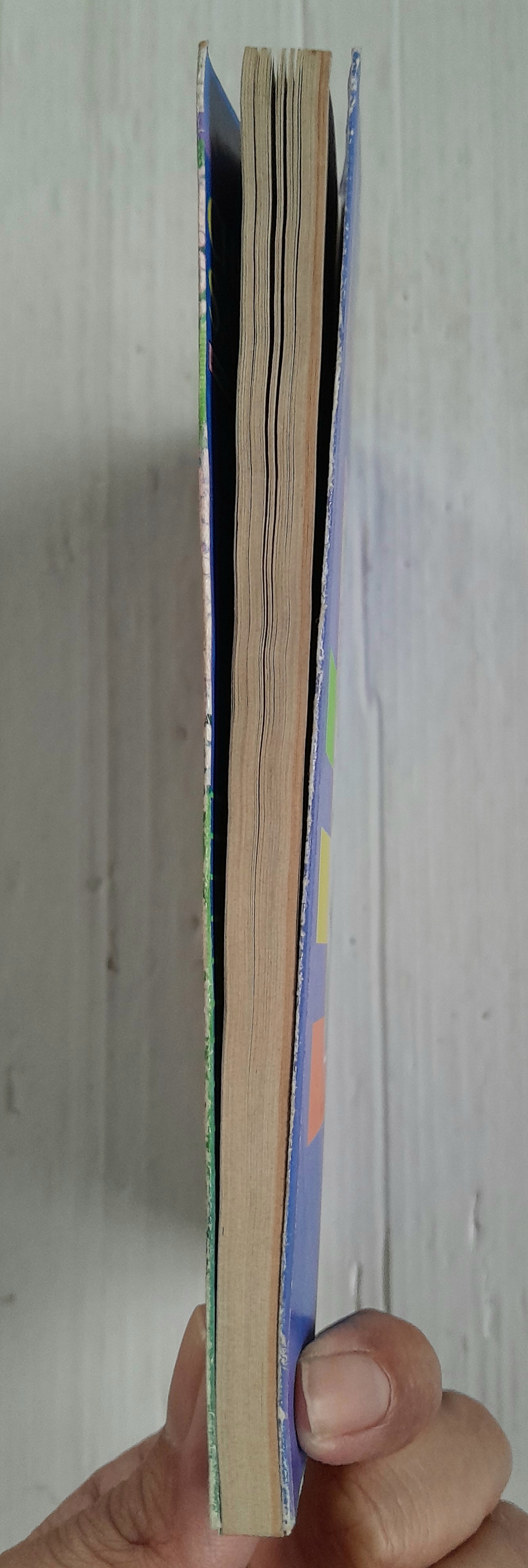 ลีลาศพาฝัน ภาคพิเศษ (เล่มเดียวจบ) / ไซโต้ จิโฮ