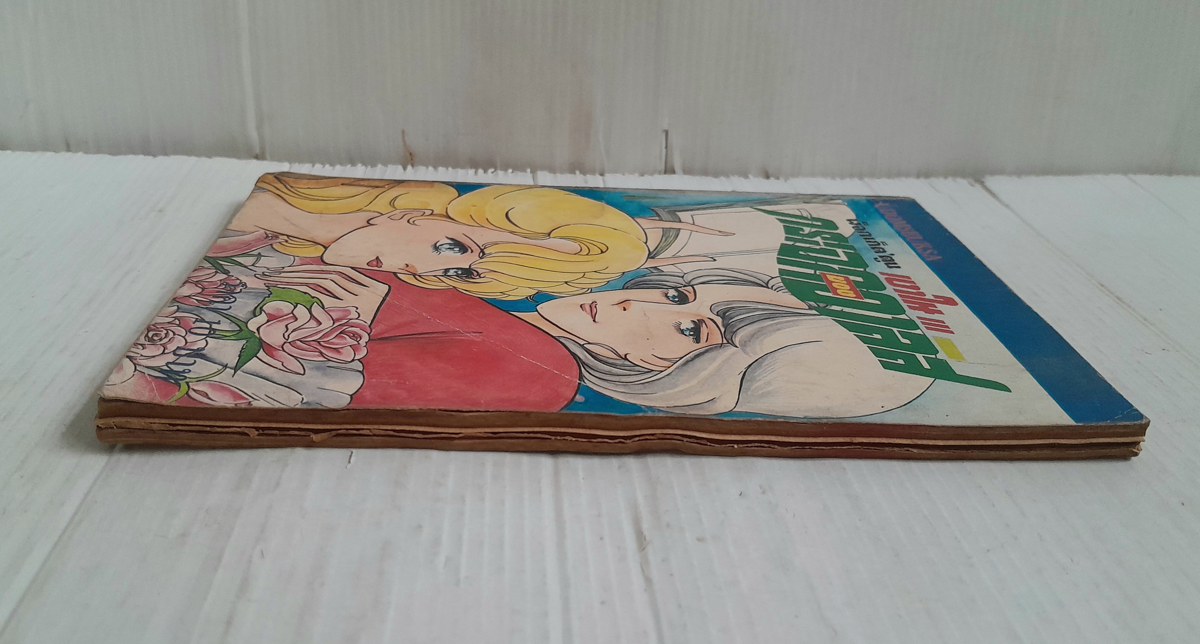 เงาในกระจกของอาลิส (เล่มเดียวจบ)