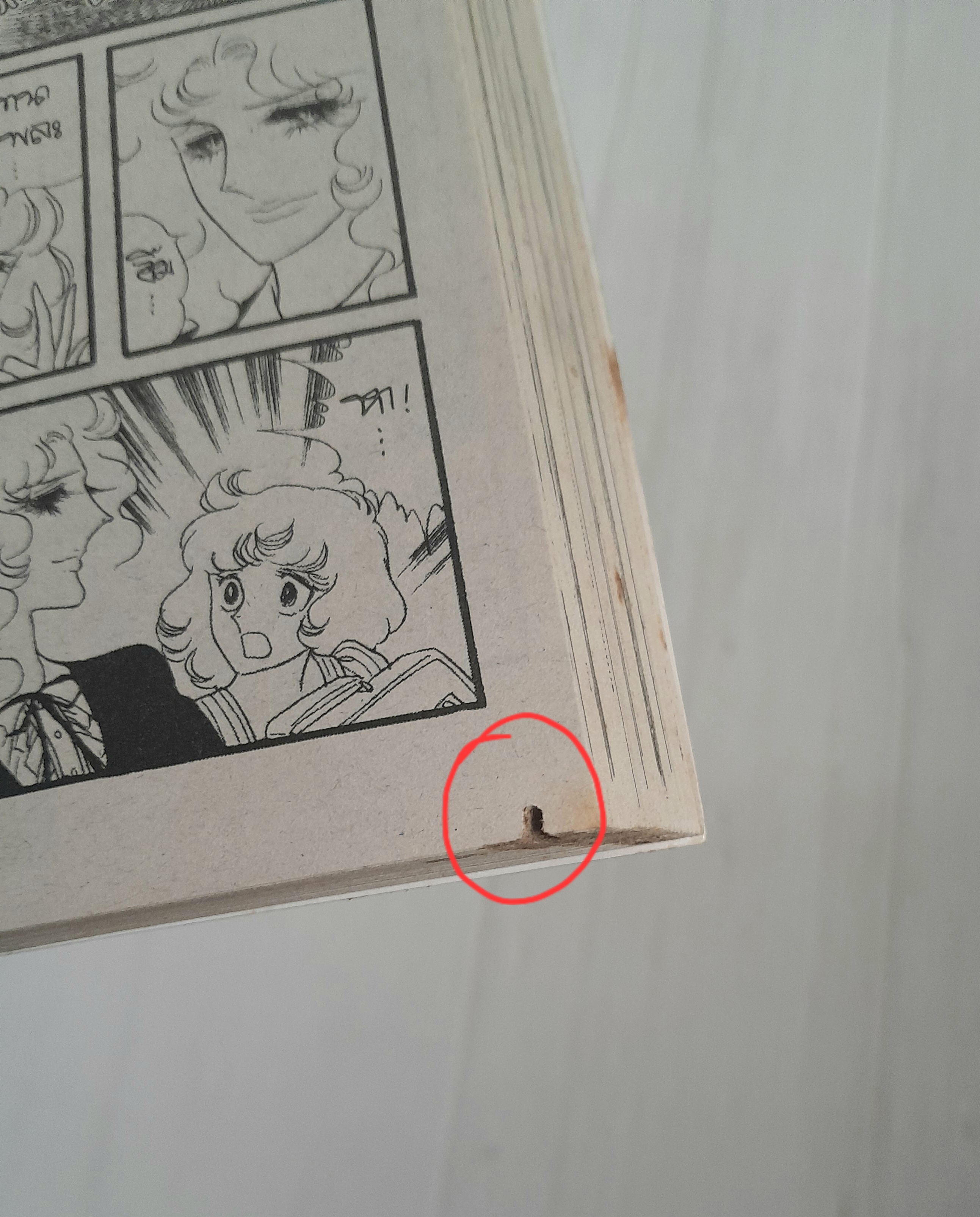 เทพบุตรสุดที่รัก (เล่มเดียวจบ) / ริโยโกะ อิเคดะ