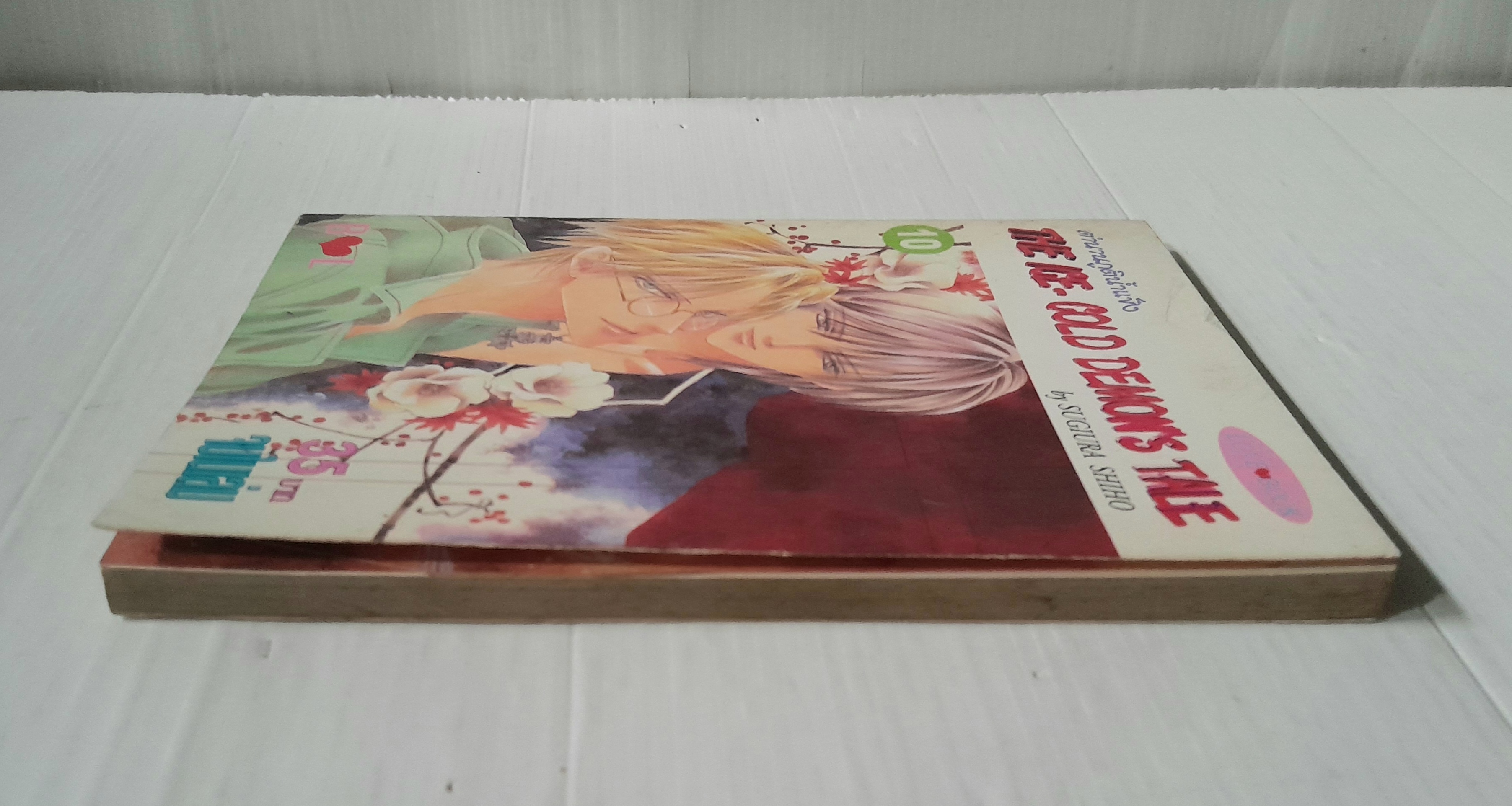 ตำนานภูตน้ำแข็ง เล่ม 10 (เล่มเดียวจบ) / Sugiura Shiho