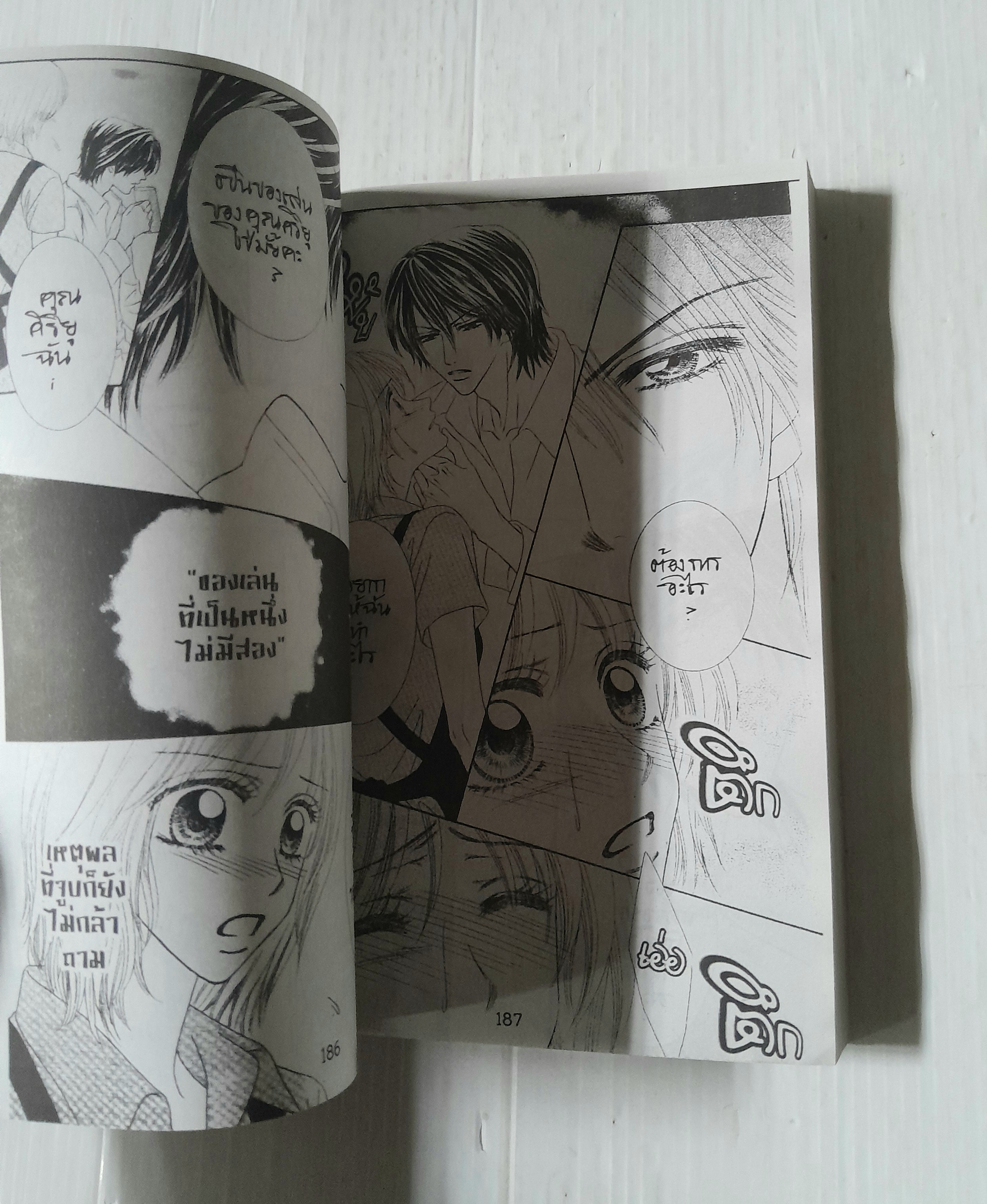 เจ้านายแสบต้องแอบรัก (เล่มเดียวจบ)