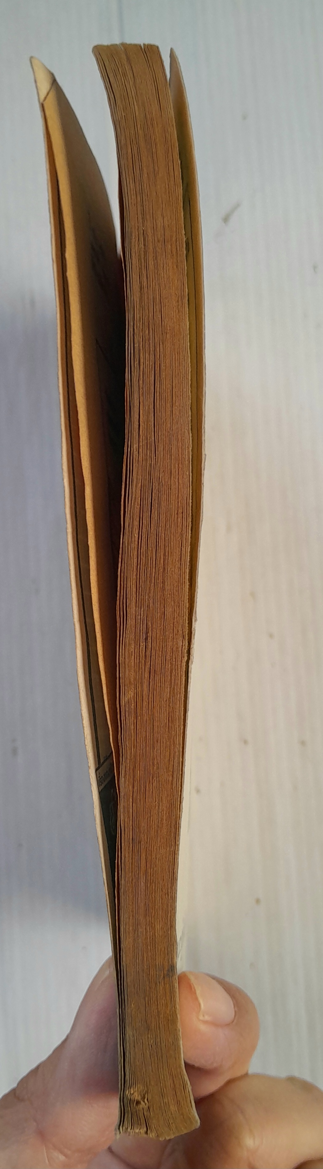 แมรี่ เบลล์ เล่ม 8