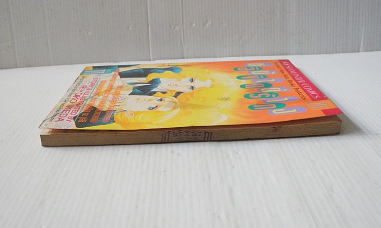 หน้าต่างลิขิตรัก เล้ม 11 / Riyoko Ikeda