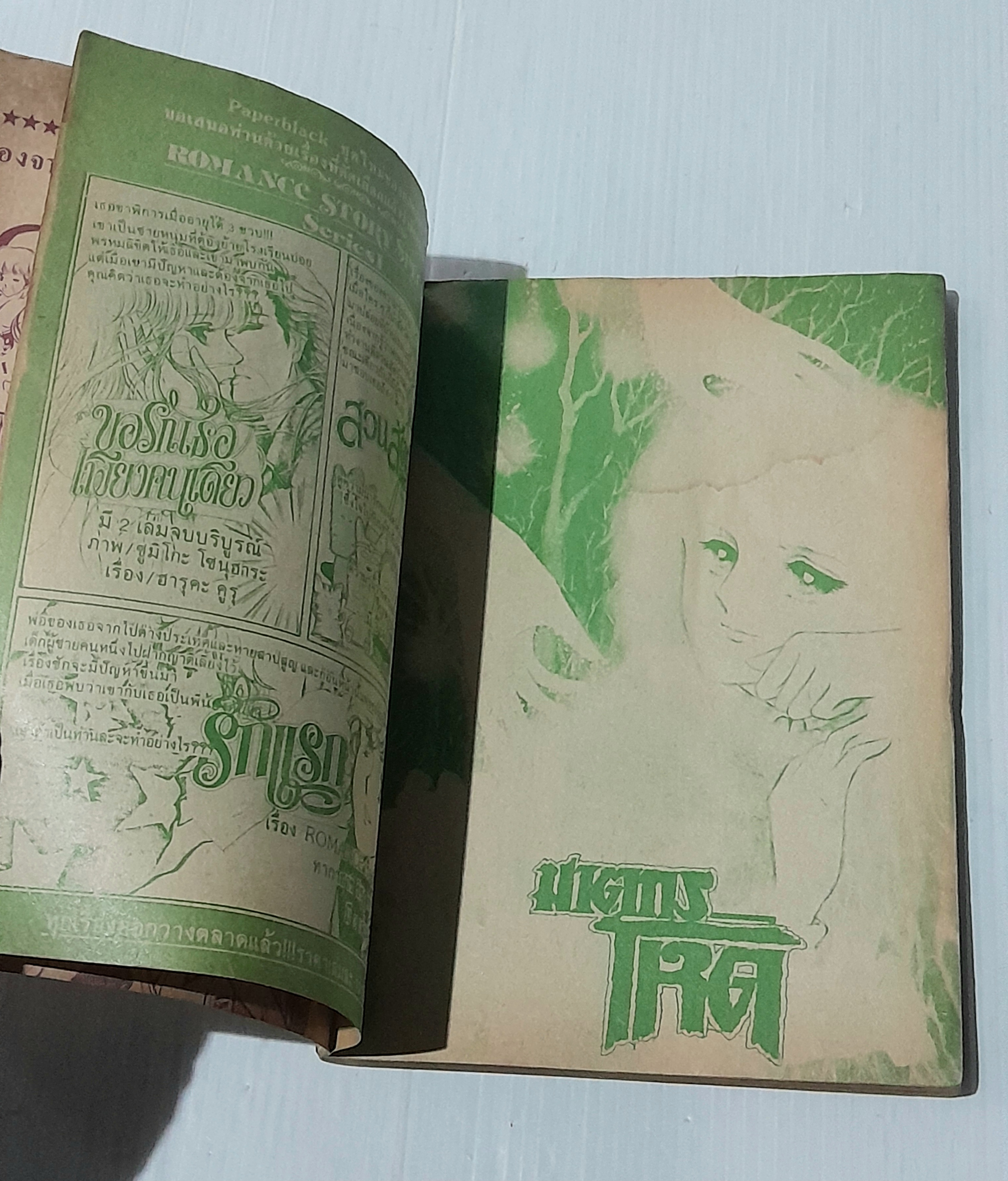 ฆาตกรโหด (เล่มเดียวจบ)