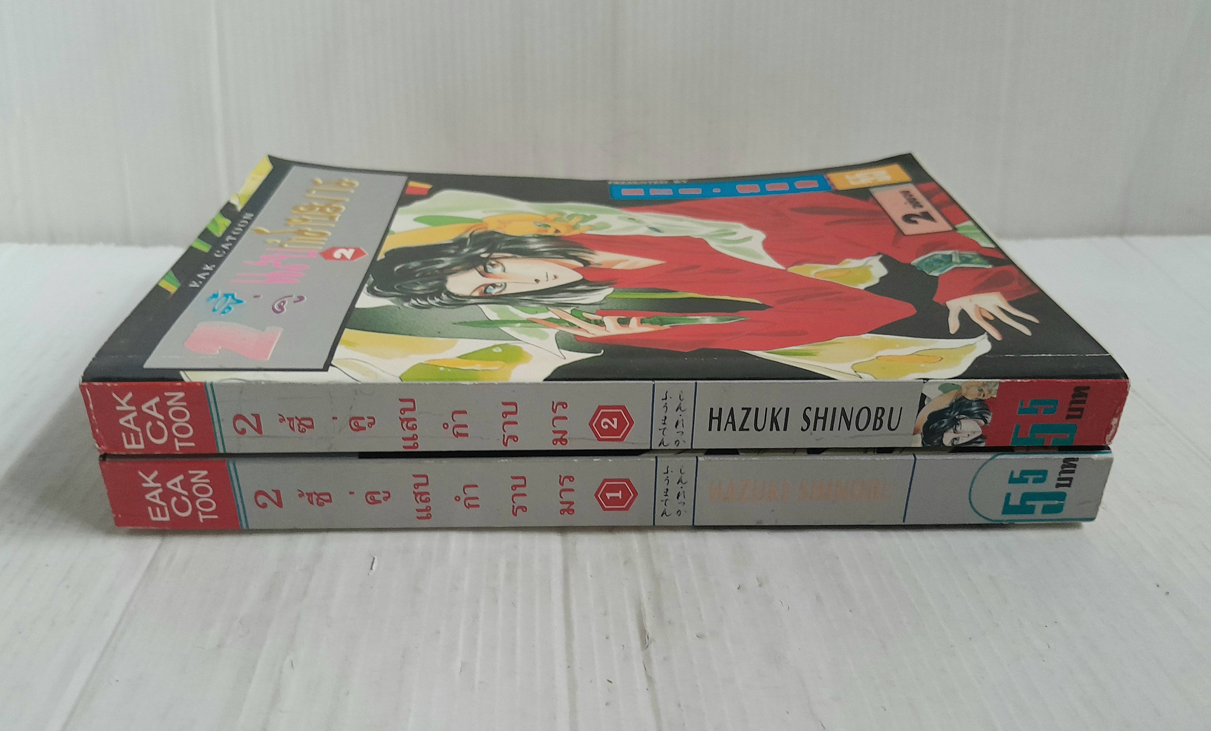 2 ซี้คู่แสบกำราบมาร 2 เล่มจบ / Hazuki Shinobu