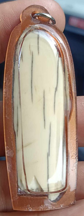 งากำจัด