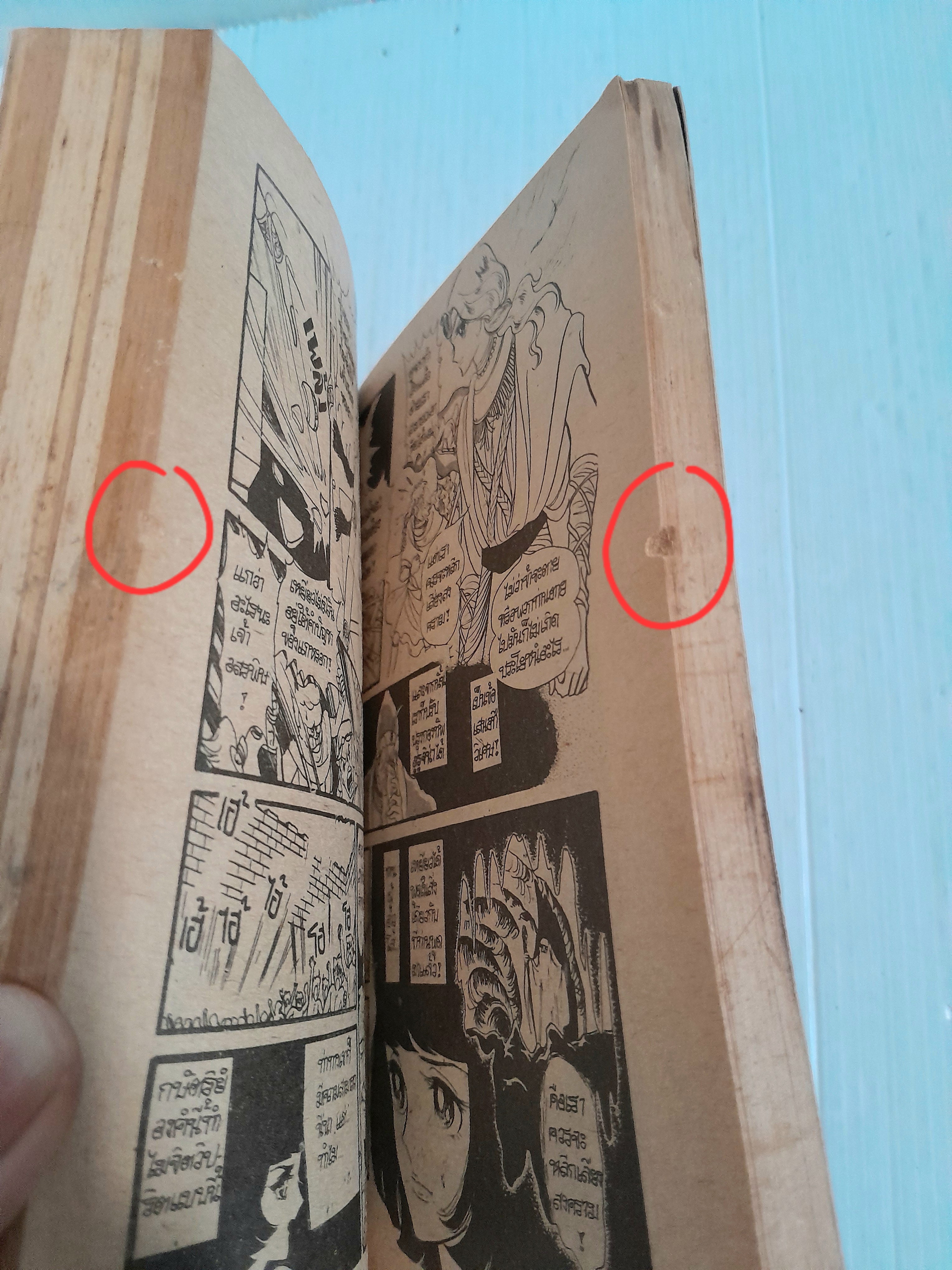 สุสานฟาโรห์ 2 เล่มจบ / ทาเคมิยะ เคียวโกะ