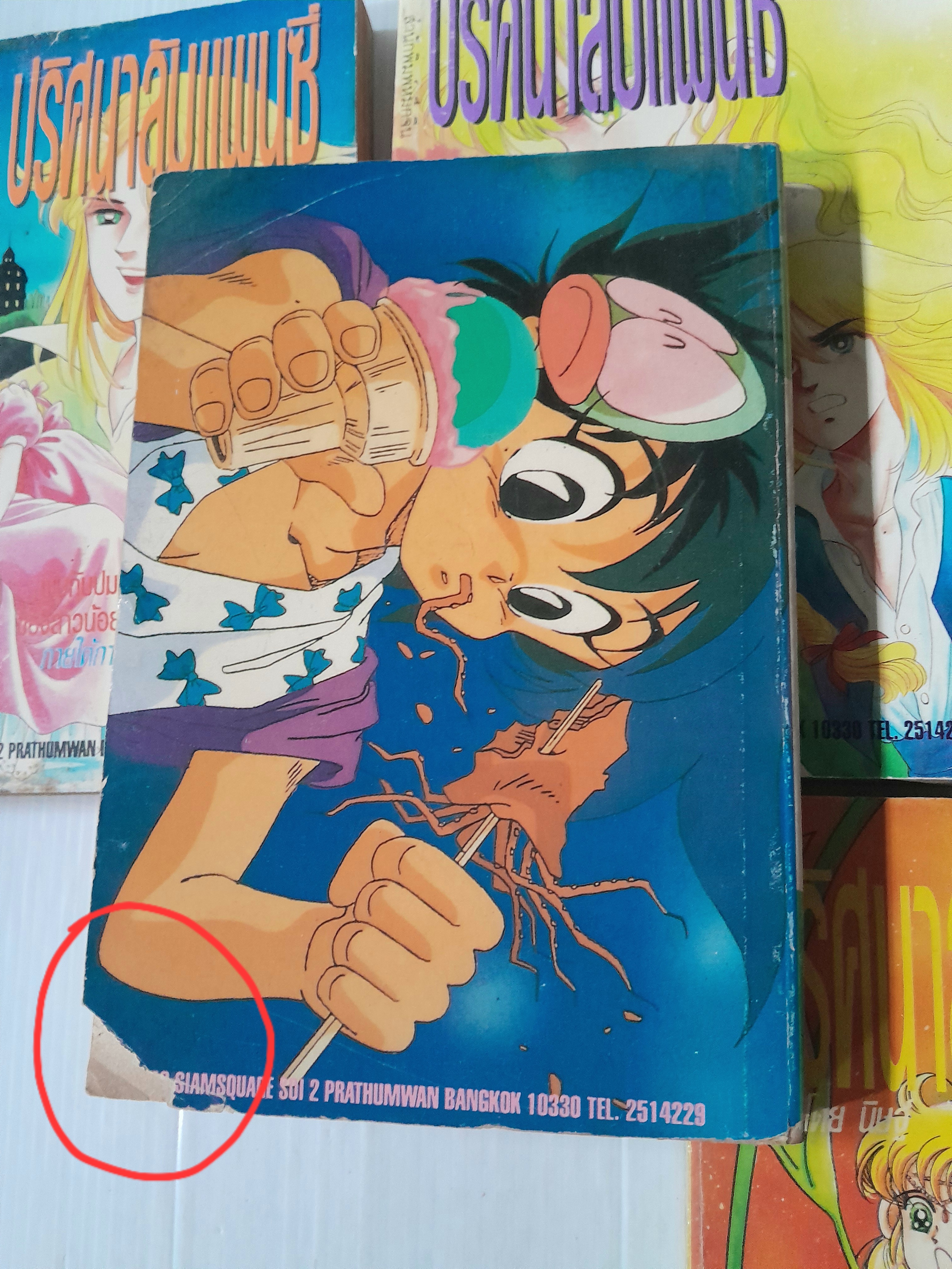 ปริศนาลับแพนซี เล่ม 1-5 (6 เล่มจบ) / โอคามุระ มาริโกะ