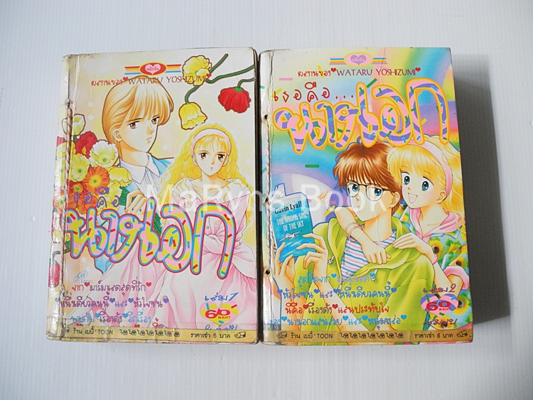 เธอคือนางเอก 2 เล่มจบ / Wataru Yoshizumi