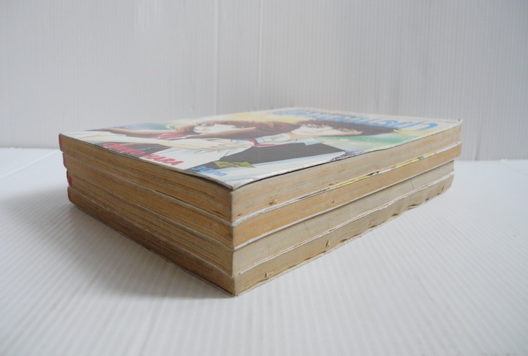 เงาอดีตแดนสนธยา 4 เล่มจบ / Chieko Hara