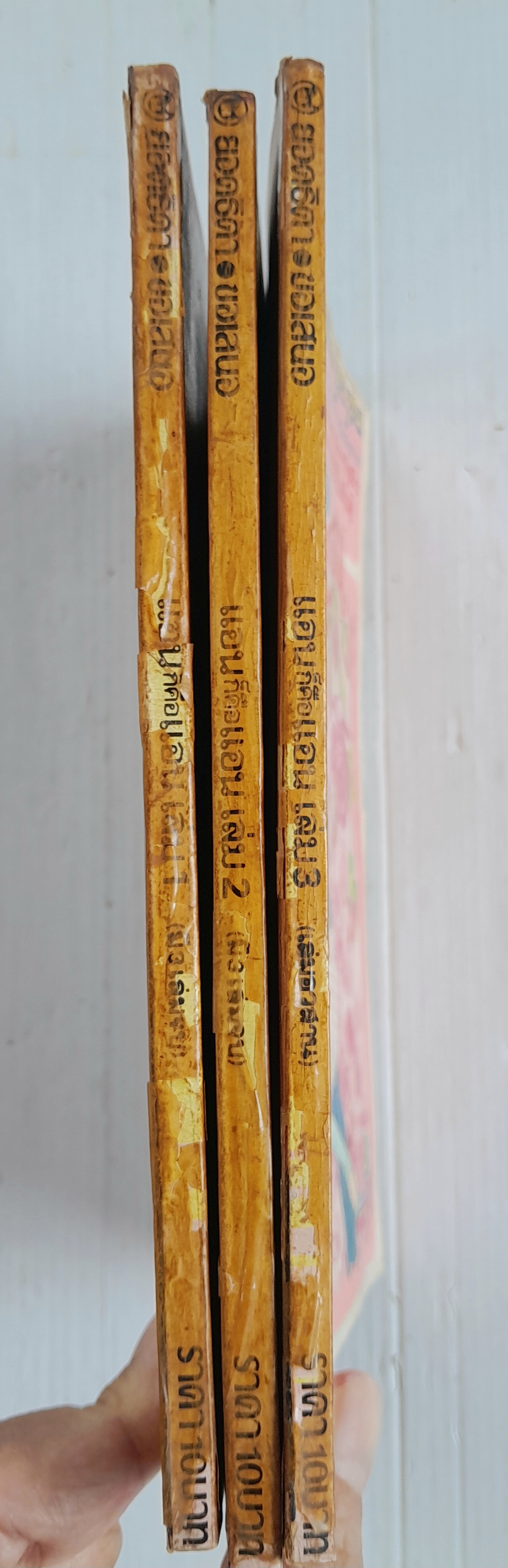 แอนก็คือแอน 3 เล่มจบ / อิงาราชิ ยูมิโกะ