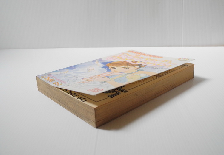 จะไขว่คว้าสู่ดาวดารา ( เล่มเดียวจบ ) / Saito chiho