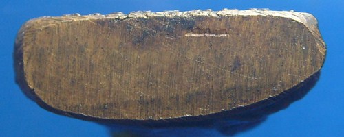 หลวงพ่อพิมพา วัดหนองตางู