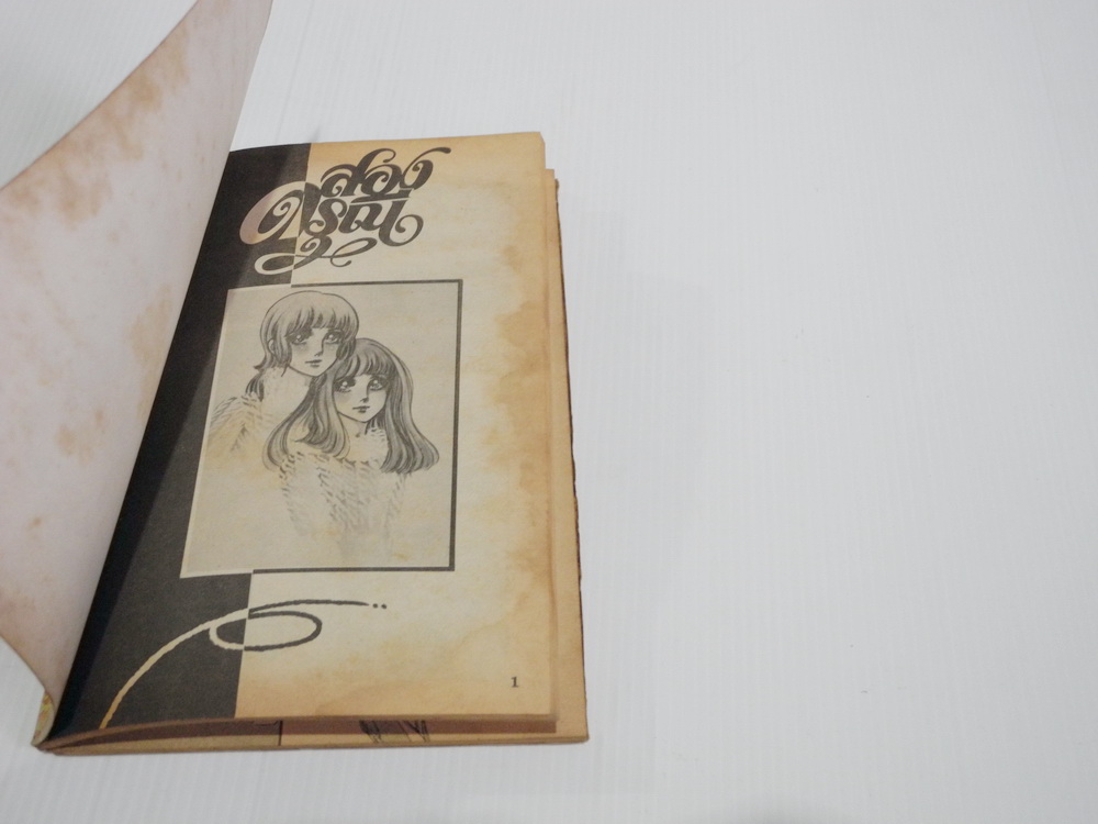 สองดรุณี เล่ม 9 (เล่มจบ) / ซาโตนะกะ มาจิโกะ