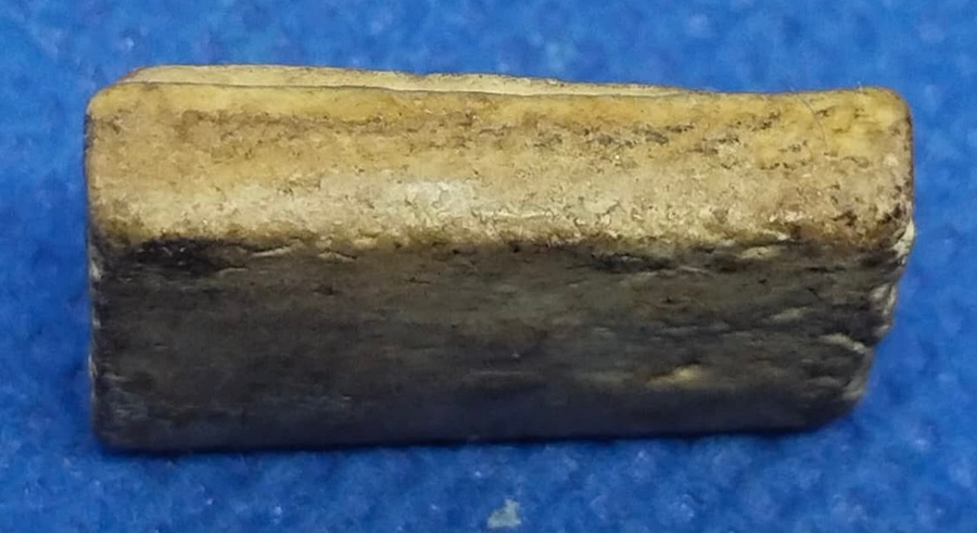 สมเด็จคะแนน๑๐๐ปี