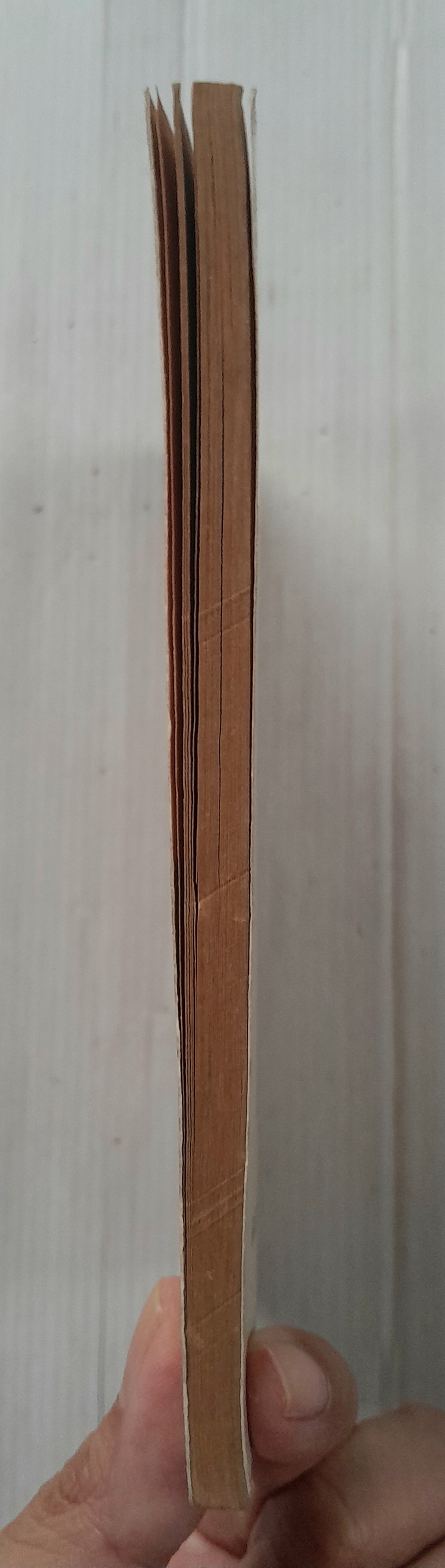 จอมแก่นแก้วฮิเมโกะ ภาคอรุณสวัสดิ์ ฉบับ 32 / Fujiwara Eiko