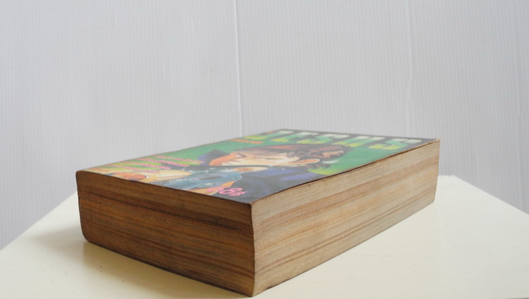 จีซัส ภาค 2 ( เล่มเดียวจบ )