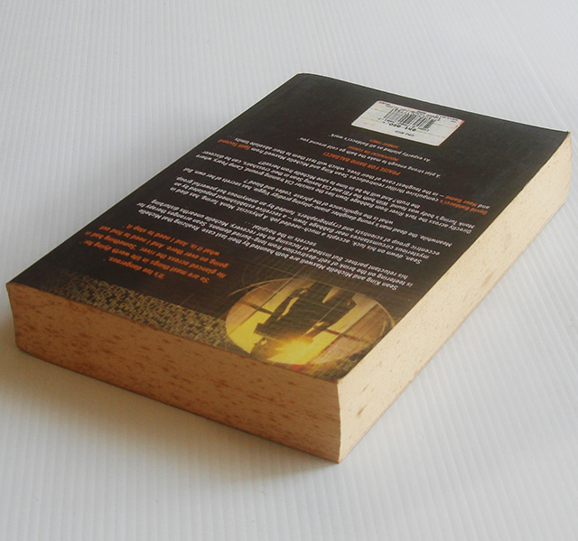 Simple Genius / David Baldacci