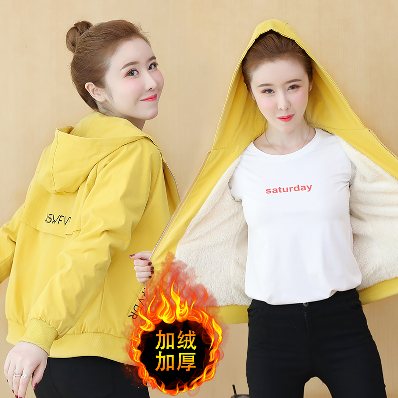 แจ็คเก็ต เสื้อคลุมแจ็คเก็ต