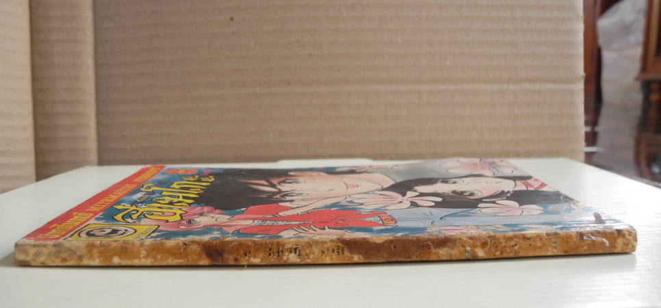 จอมแก่นแก้ว ฮิเมโกะ เล่ม 22