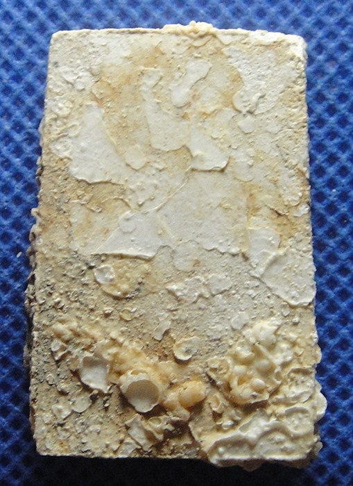 สมเด็จกรุวัดตลิ่งชัน