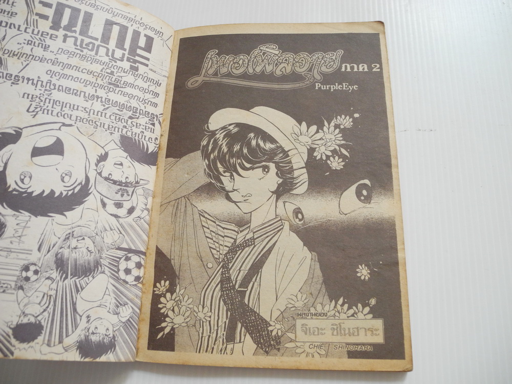 เพอเพิลอาย เล่ม 11 / Chie Shinohara