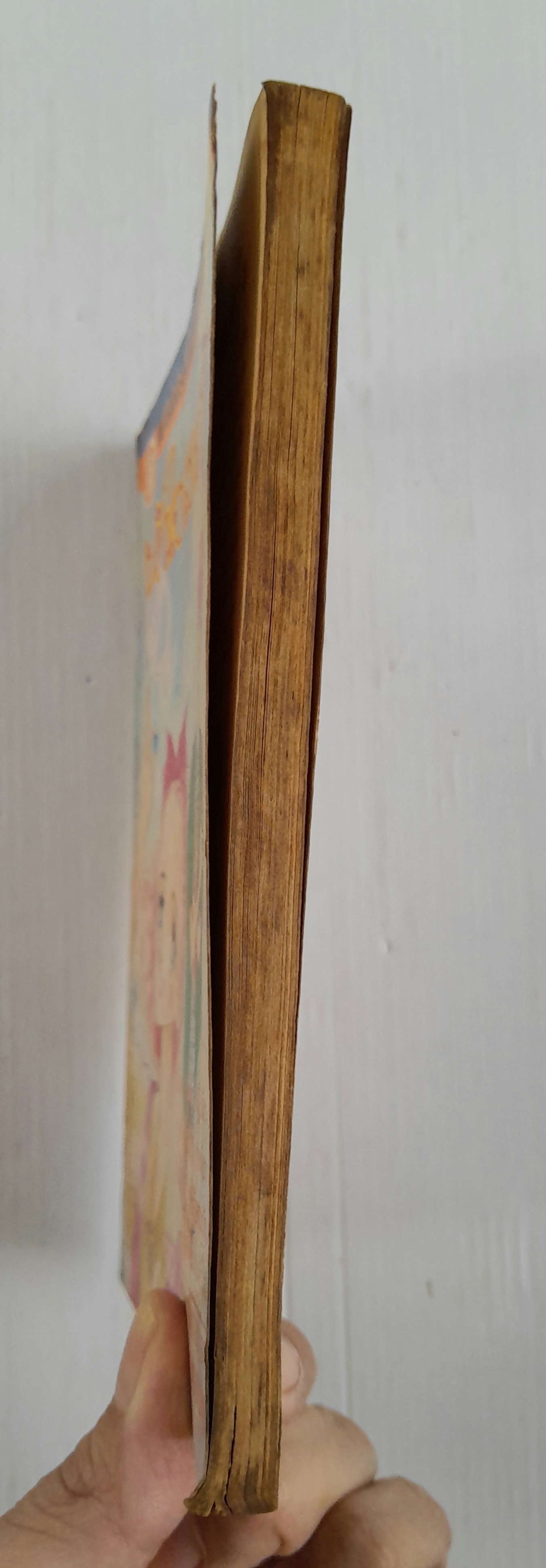 หัวใจสายรุ้ง (เล่มเดียวจบ) / โทมิซึกะ อายูมิ