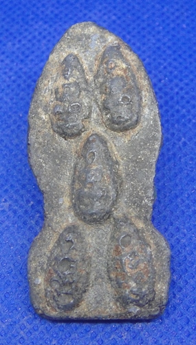 พระนาคปรกชินเขียว