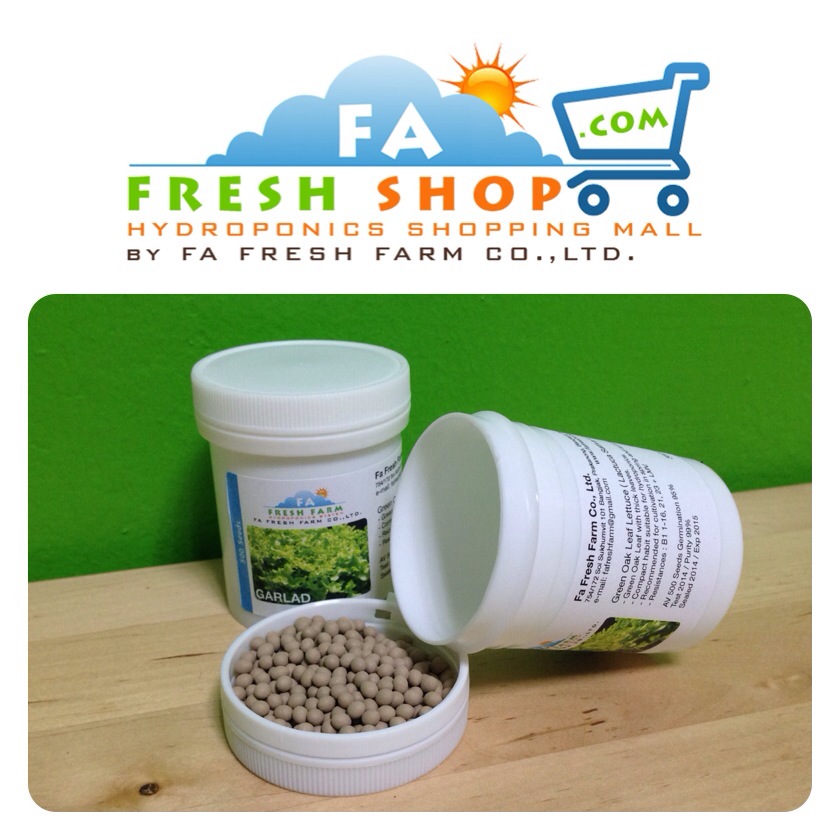 กรีนโอ๊ต Green Oak (แบบเคลือบ กระปุกละ 500 เมล็ด)