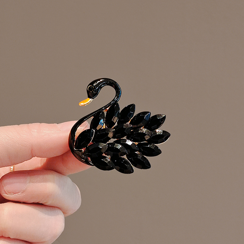 เข็มกลัด เข็มกลัดสวยๆ เข็มกลัดติดเสื้อ Brooch