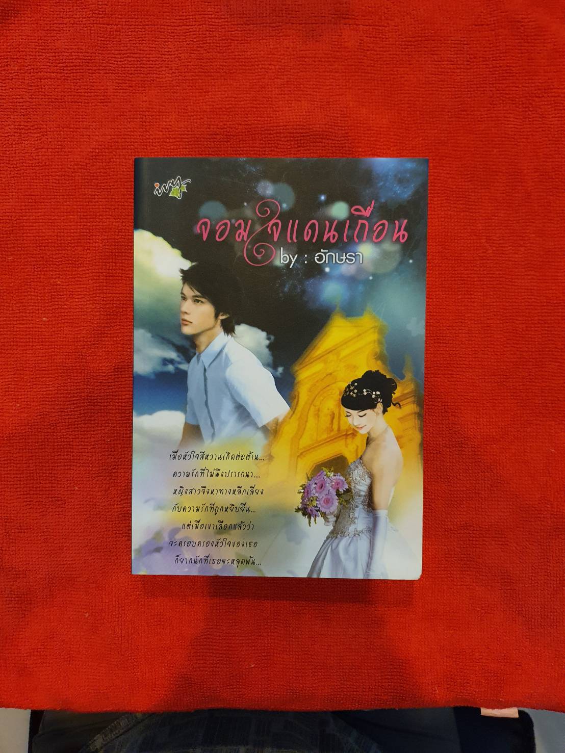 จอมใจแดนเถื่อน / อักษรา /สนพ.ไอวี่ #หนังสือมือสอง #นิยายมือสอง ราคาถูก