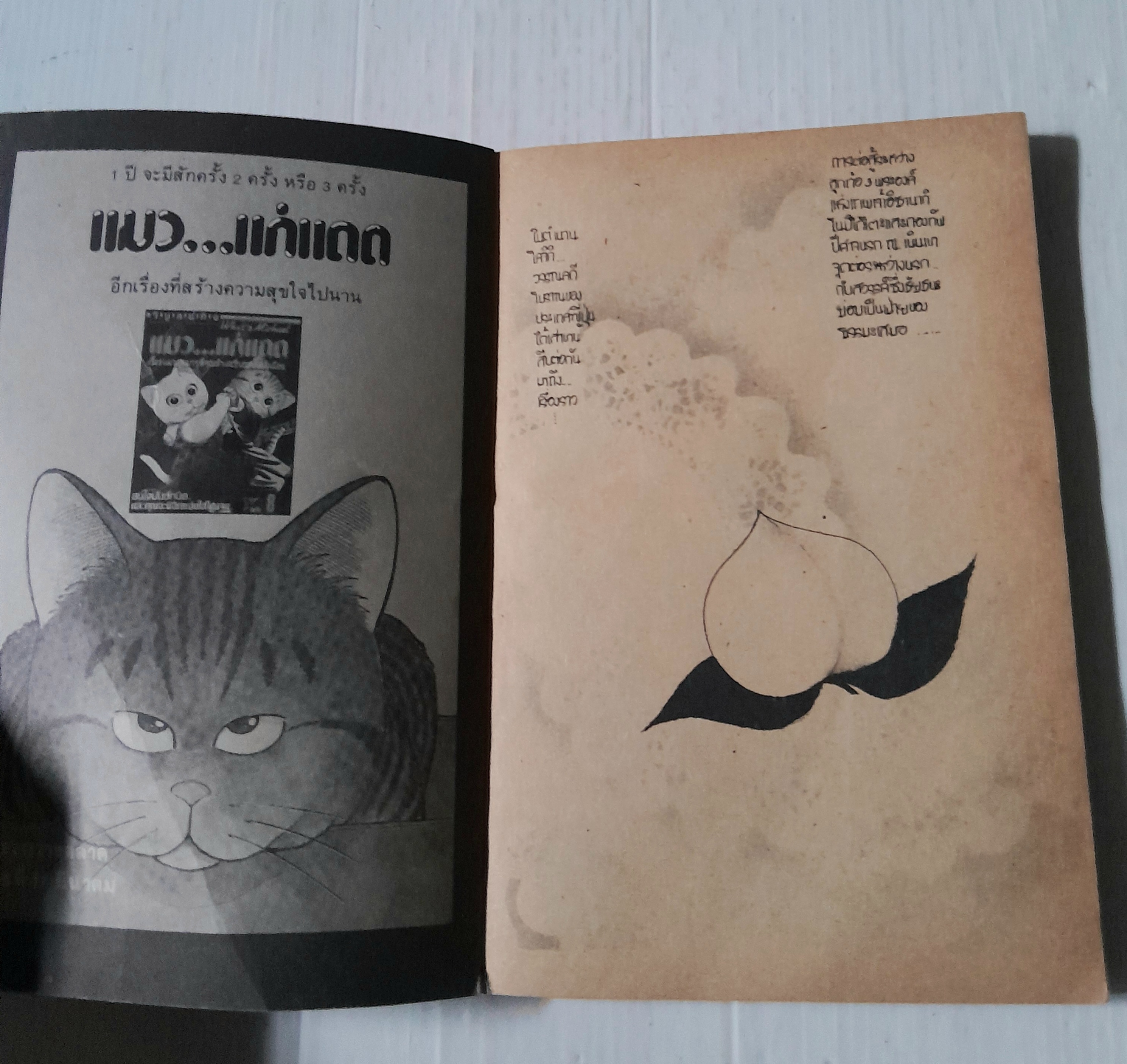 โมโมทาโร่ ฉบับเฮฮา (เล่มเดียวจบ) / คุซึโนกิ เคย์