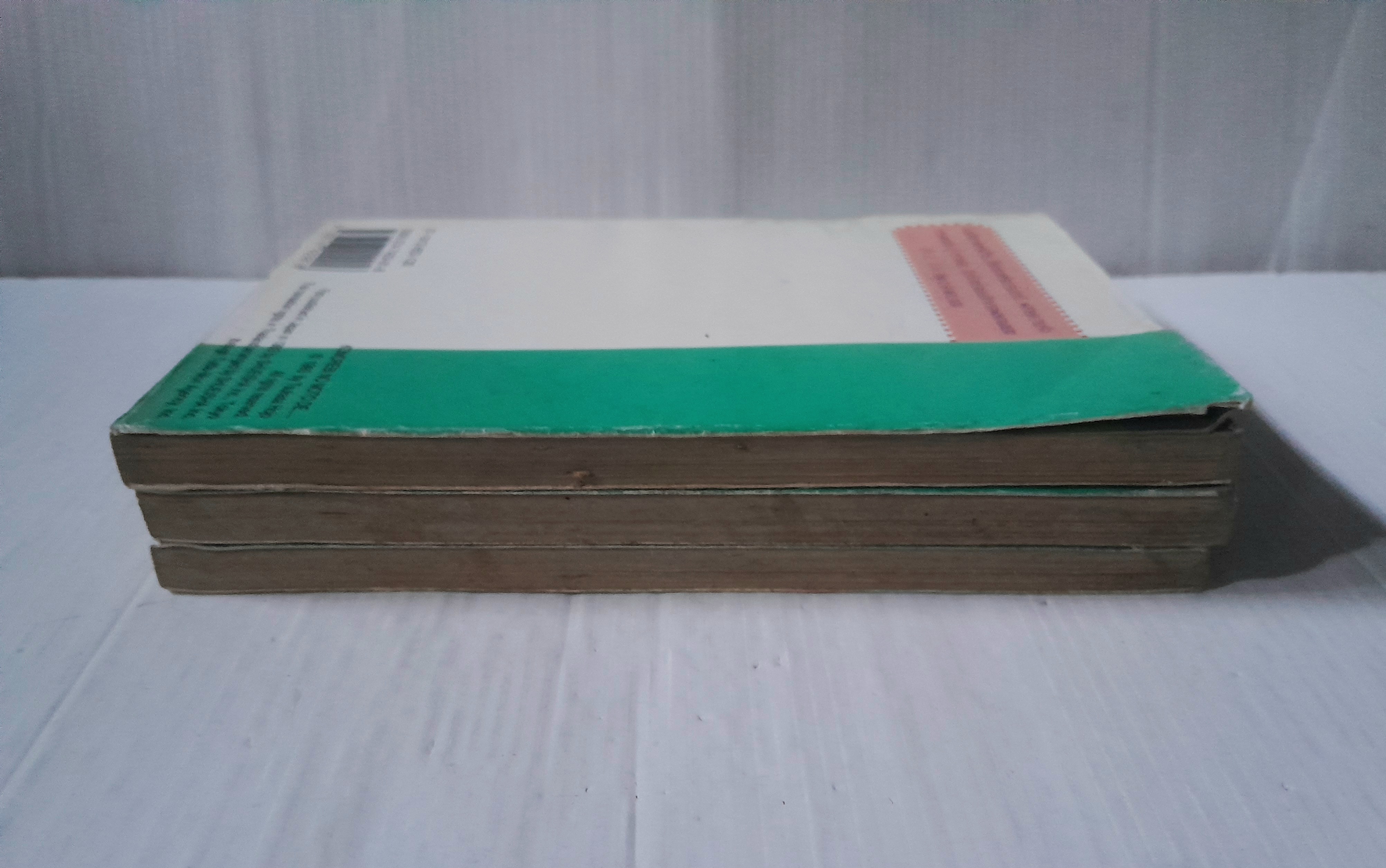 ใต้ร่มเงาแห่งรัก 3 เล่มจบ / Tsukasa Hojo