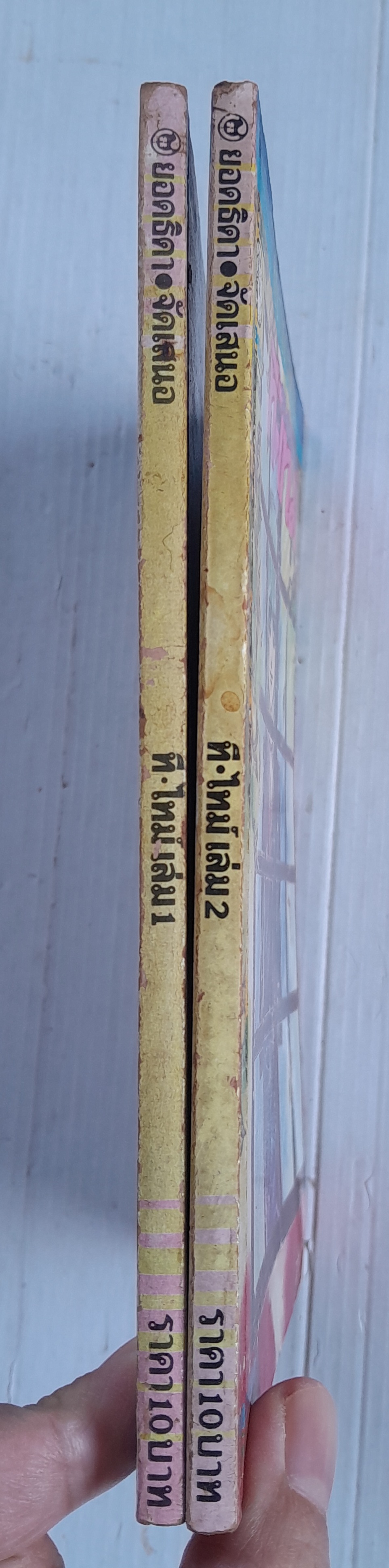 ที-ไทม์ 2 เล่มจบ / อิจิโจ ยูคาริ